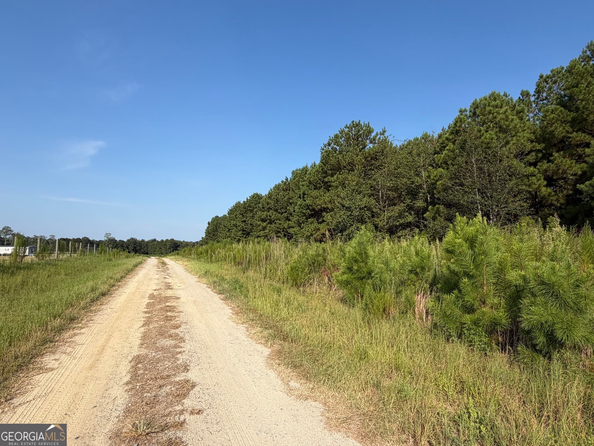 unimproved land for sale at 0 Highway 296, Stapleton, GA 30823 — photo 7