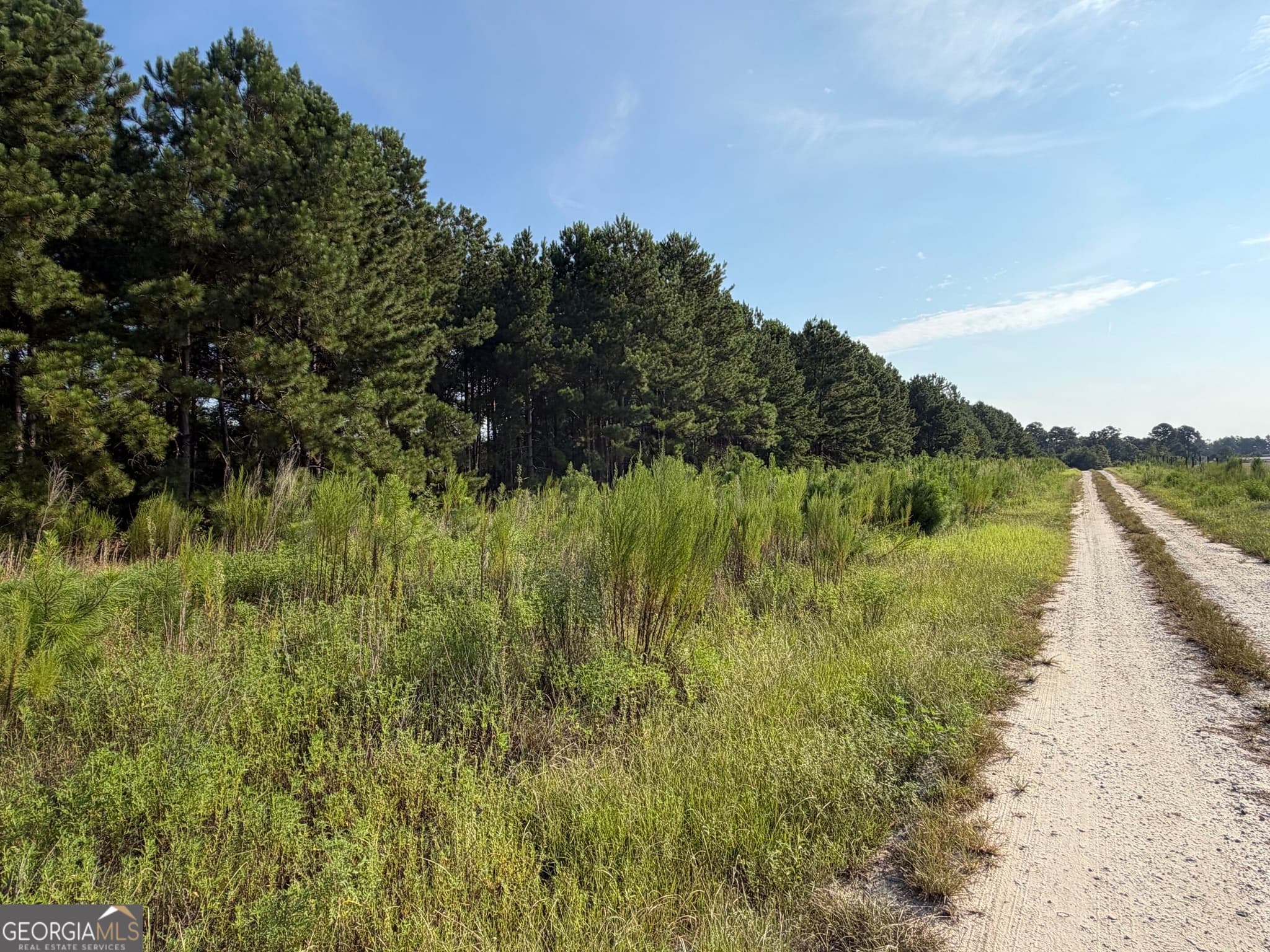 unimproved land for sale at 0 Highway 296, Stapleton, GA 30823 — photo 3