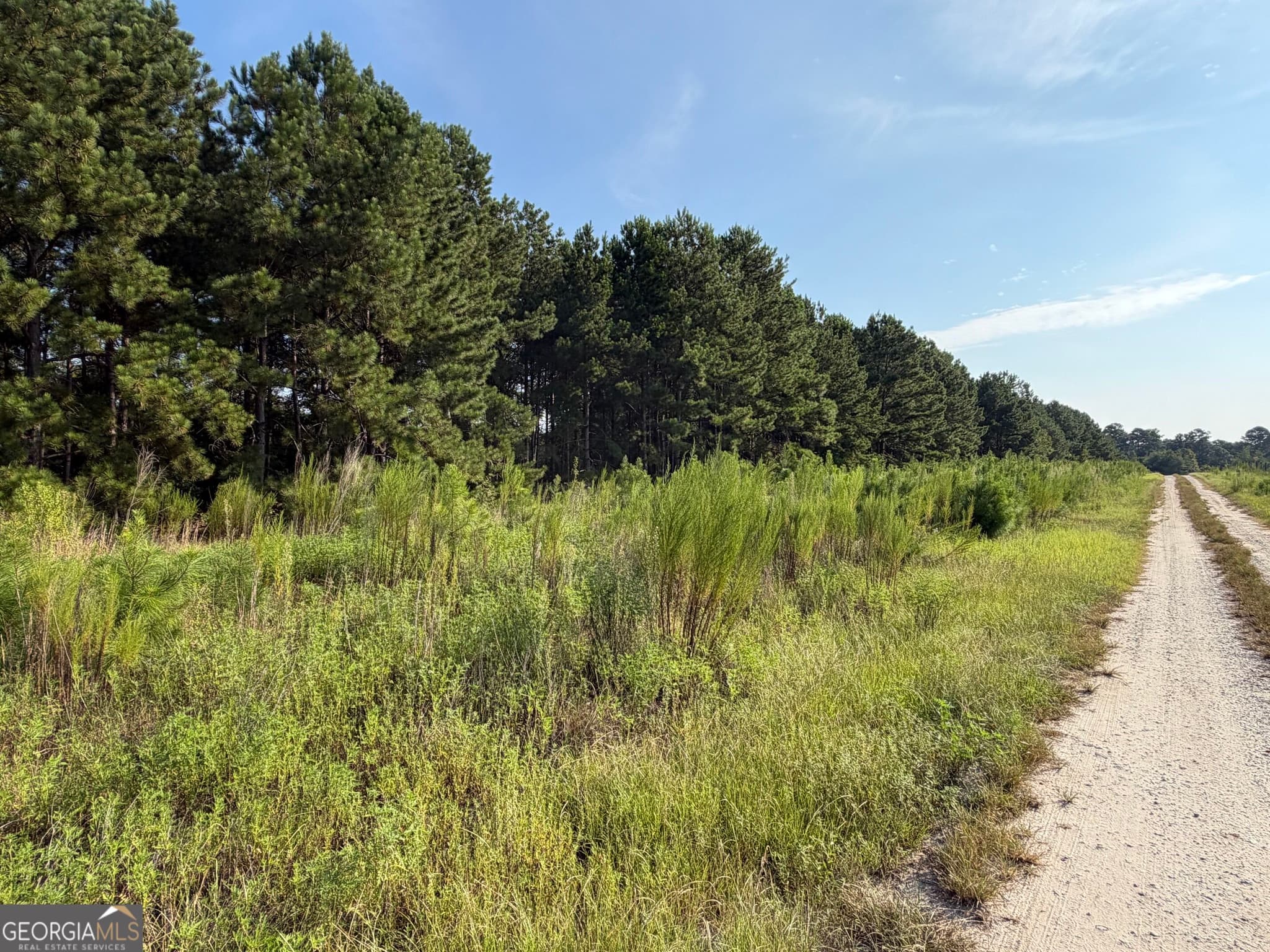 unimproved land for sale at 0 Highway 296, Stapleton, GA 30823