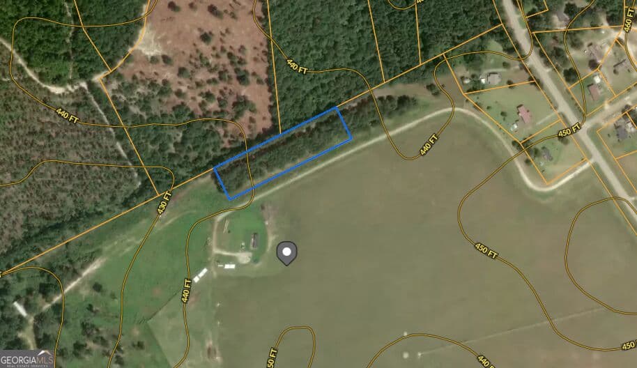 unimproved land for sale at 0 Highway 296, Stapleton, GA 30823 — photo 9