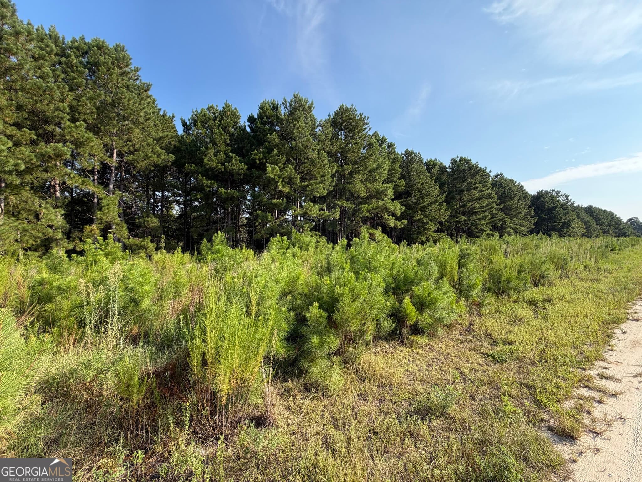 unimproved land for sale at 0 Highway 296, Stapleton, GA 30823 — photo 4