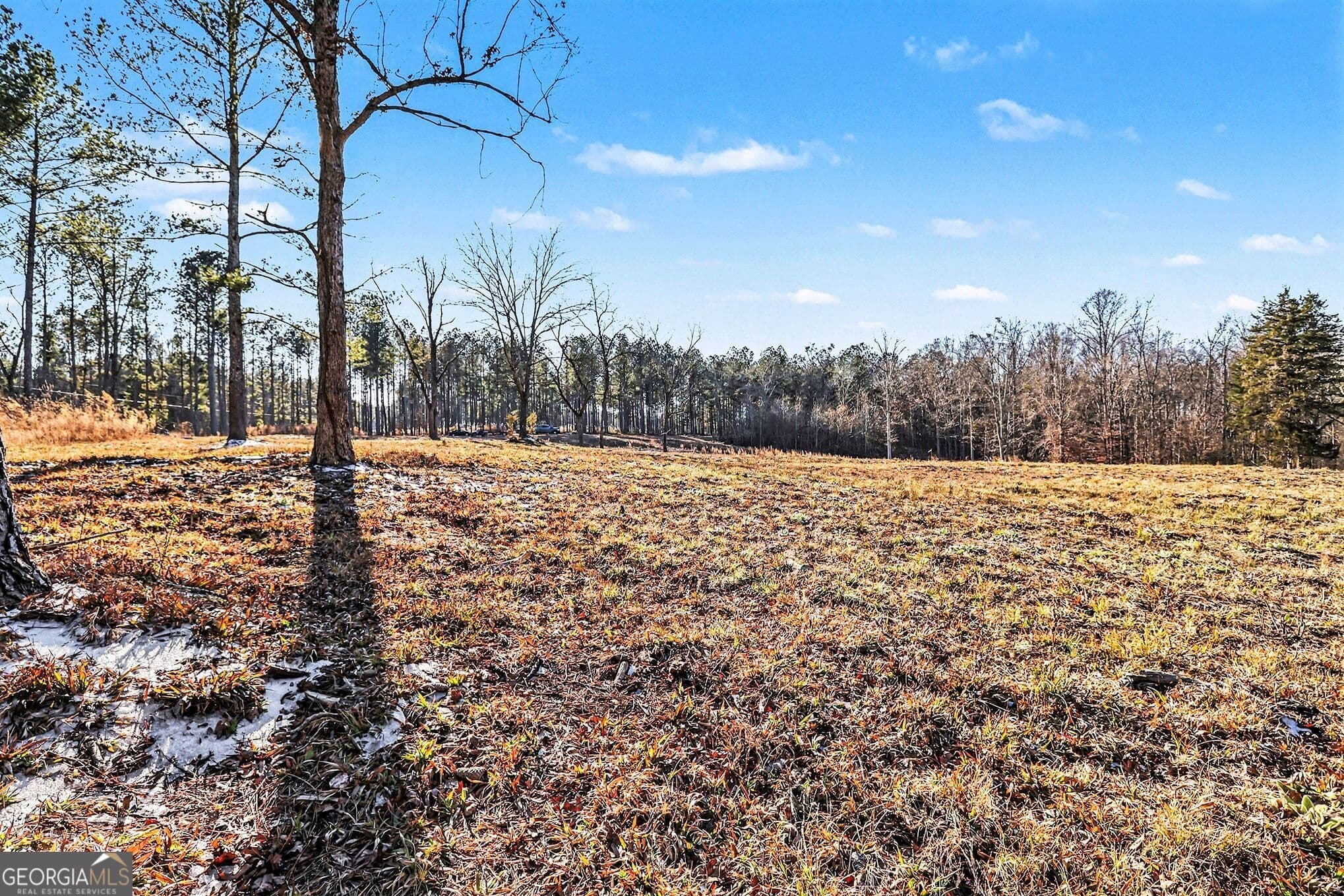 agriculture for sale at 2285 Cherokee Road, Comer, GA 30629 — photo 6