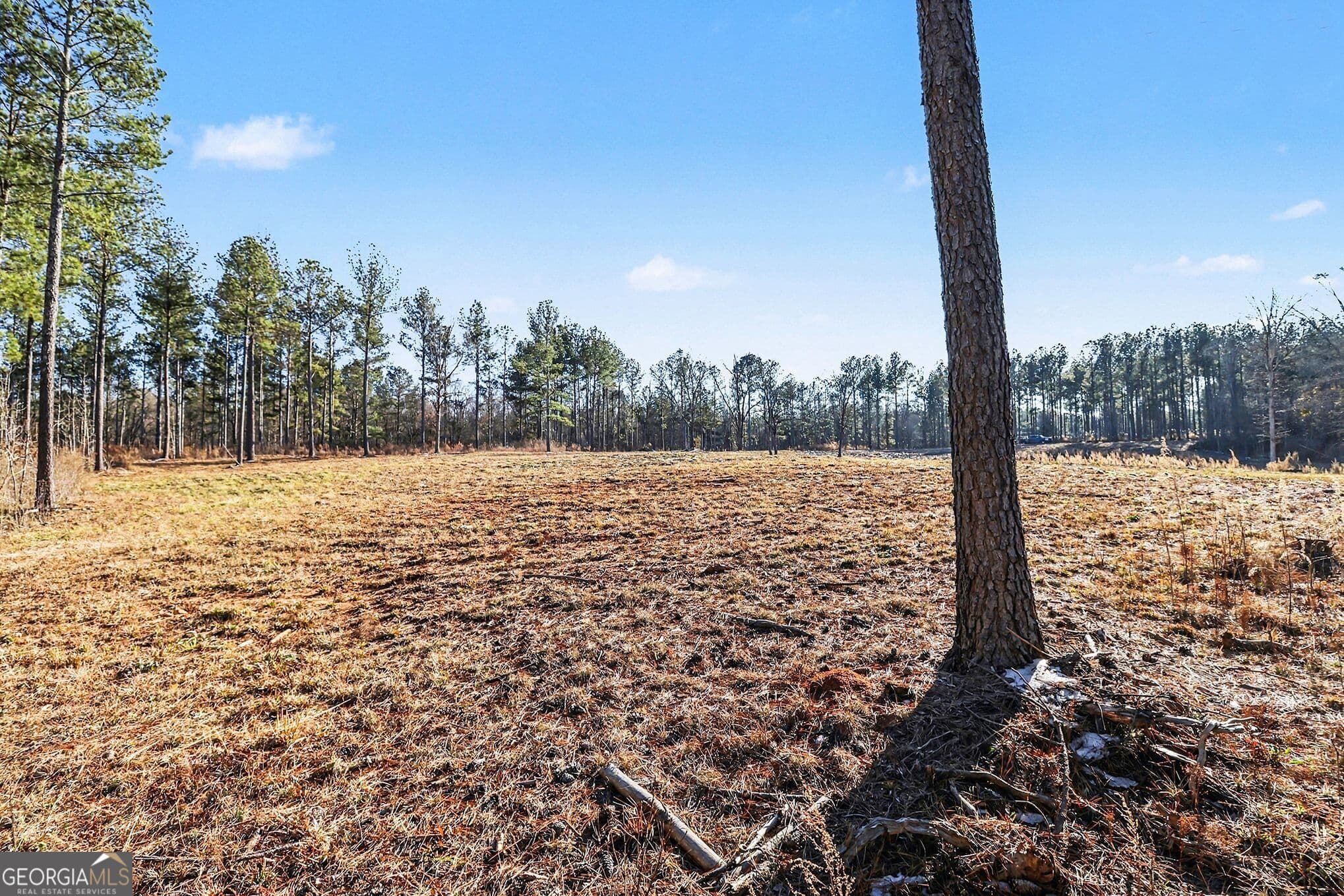 agriculture for sale at 2285 Cherokee Road, Comer, GA 30629 — photo 7
