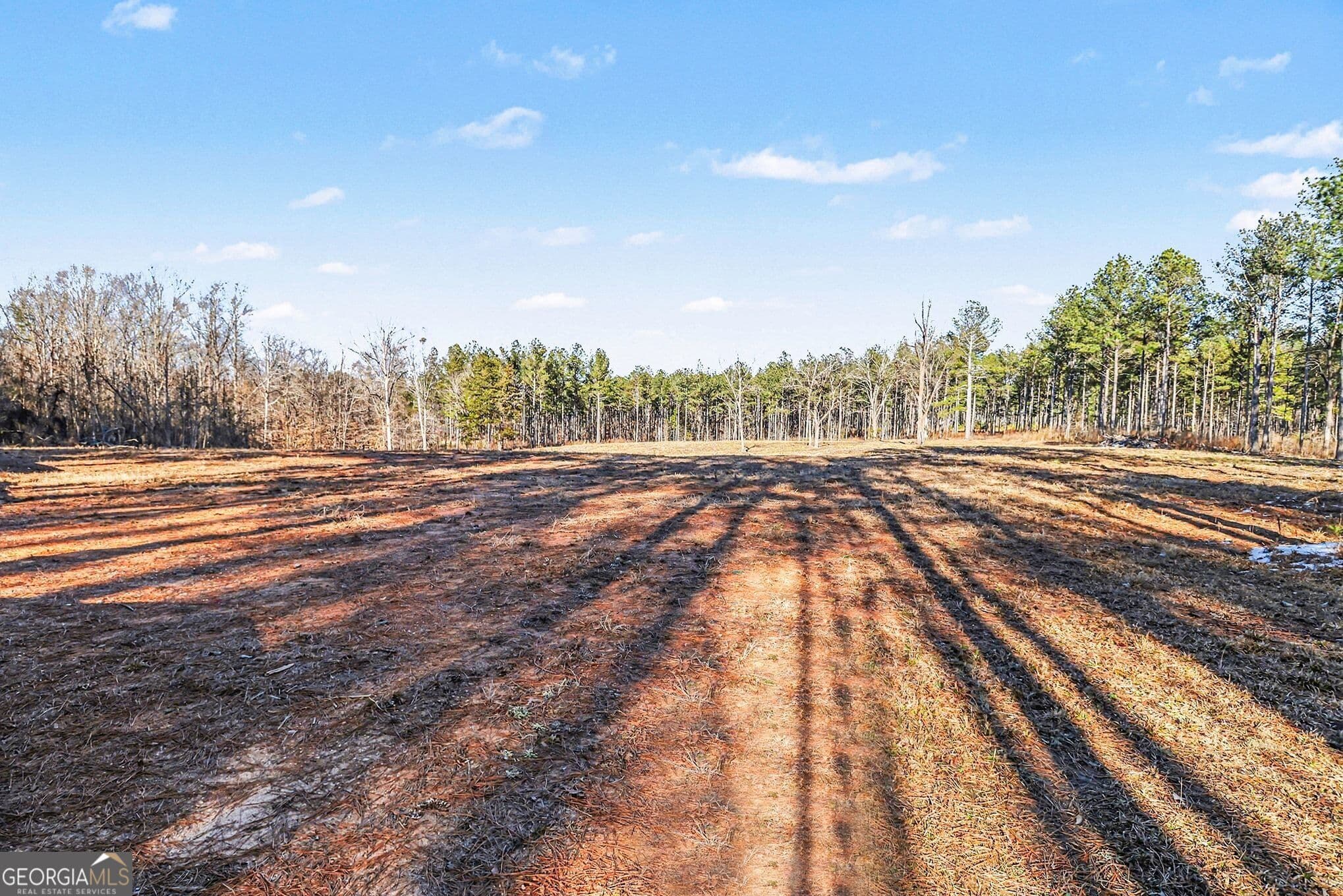 agriculture for sale at 2285 Cherokee Road, Comer, GA 30629 — photo 5
