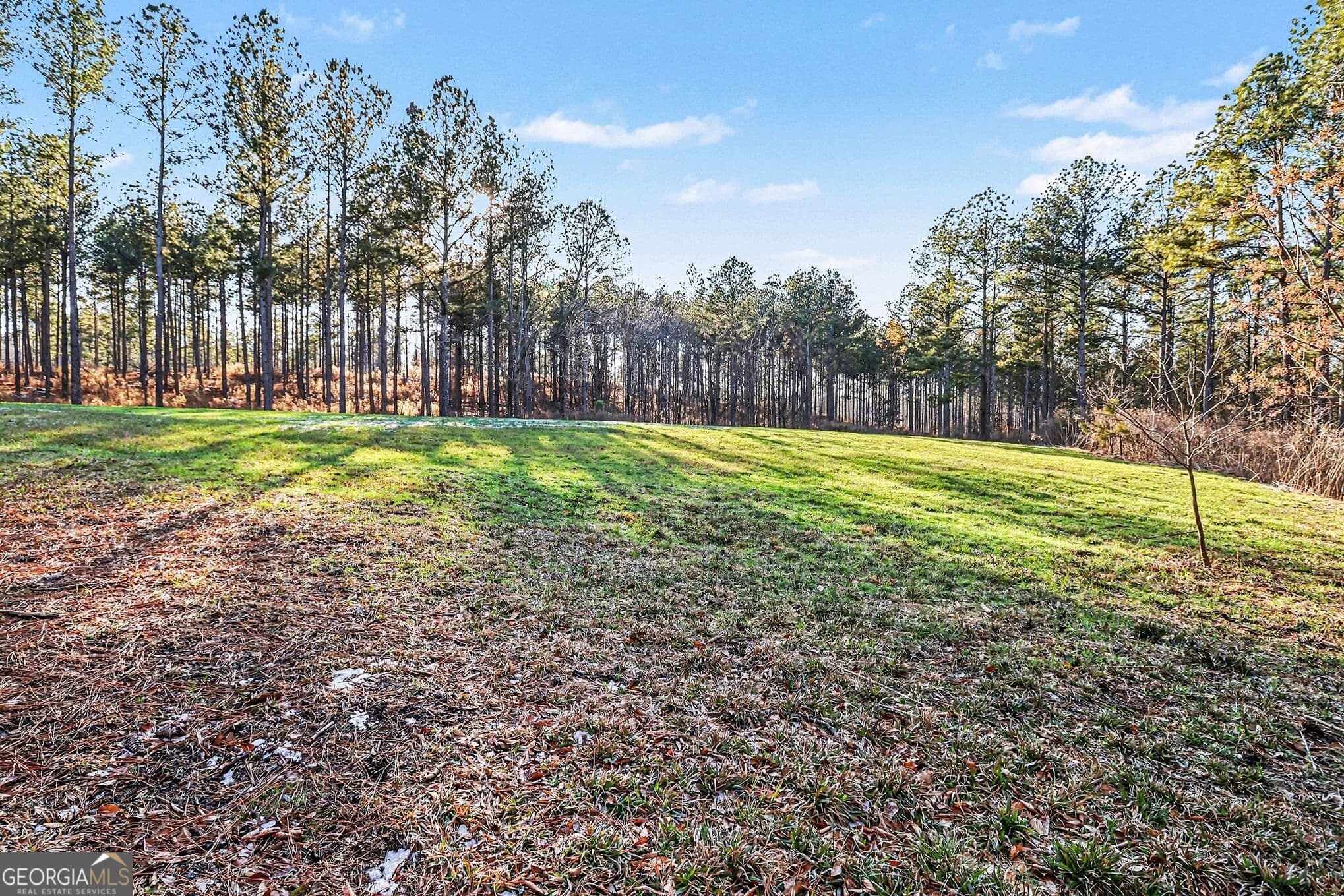 agriculture for sale at 2285 Cherokee Road, Comer, GA 30629 — photo 9