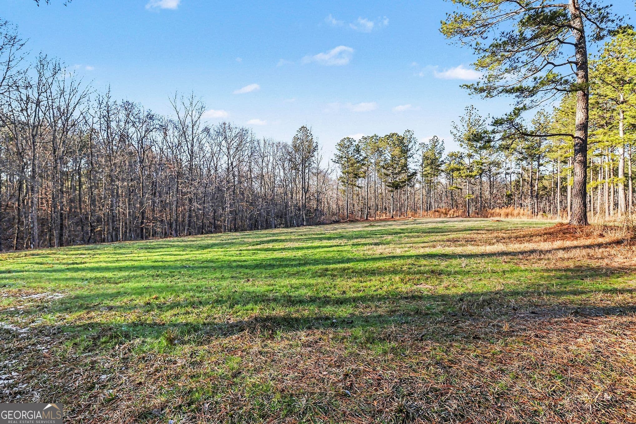 agriculture for sale at 2285 Cherokee Road, Comer, GA 30629 — photo 10