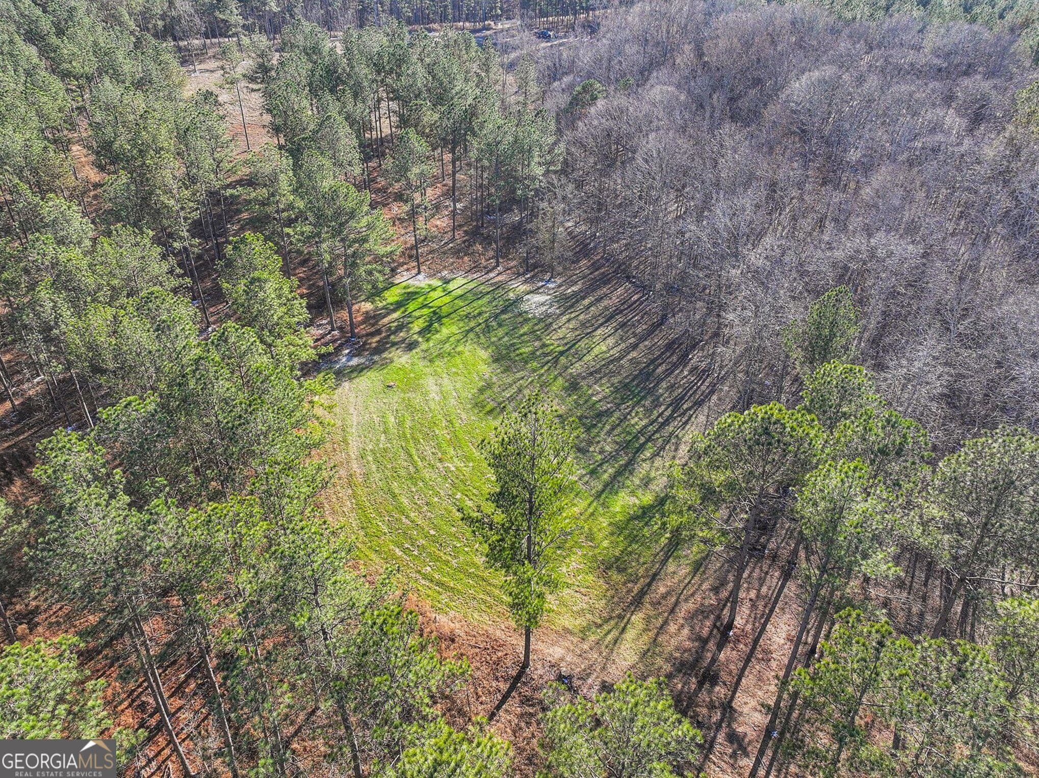 agriculture for sale at 2285 Cherokee Road, Comer, GA 30629 — photo 4