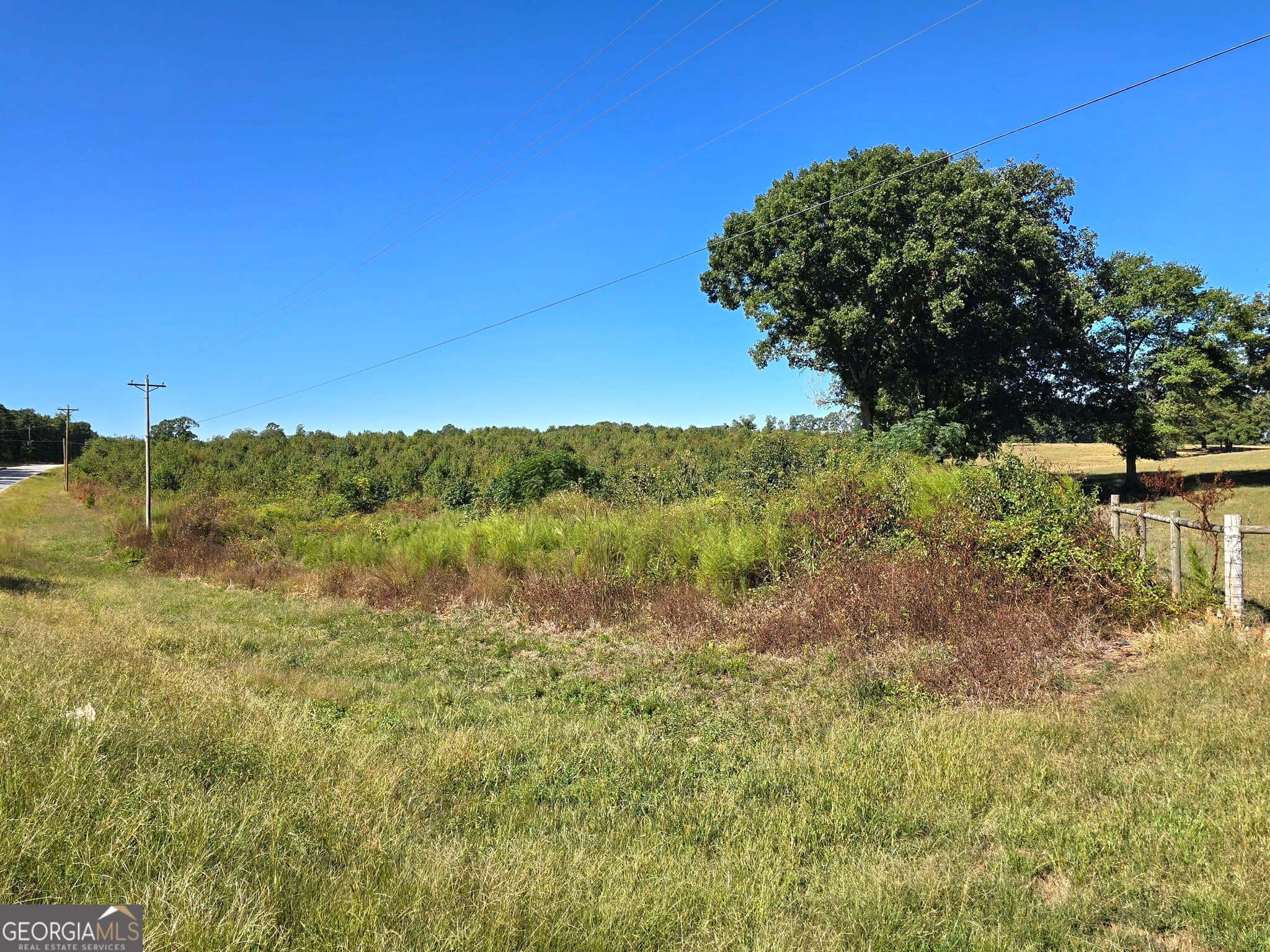 agriculture for sale at 0 Highway 172, Comer, GA 30629 — photo 7
