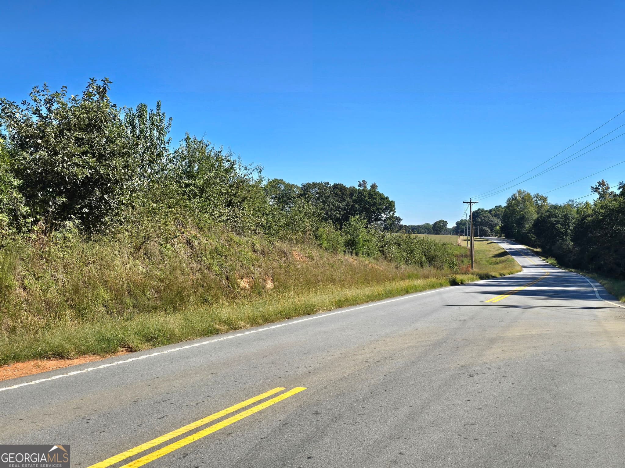 agriculture for sale at 0 Highway 172, Comer, GA 30629 — photo 3