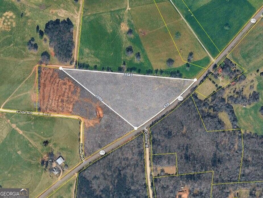 agriculture for sale at 0 Highway 172, Comer, GA 30629