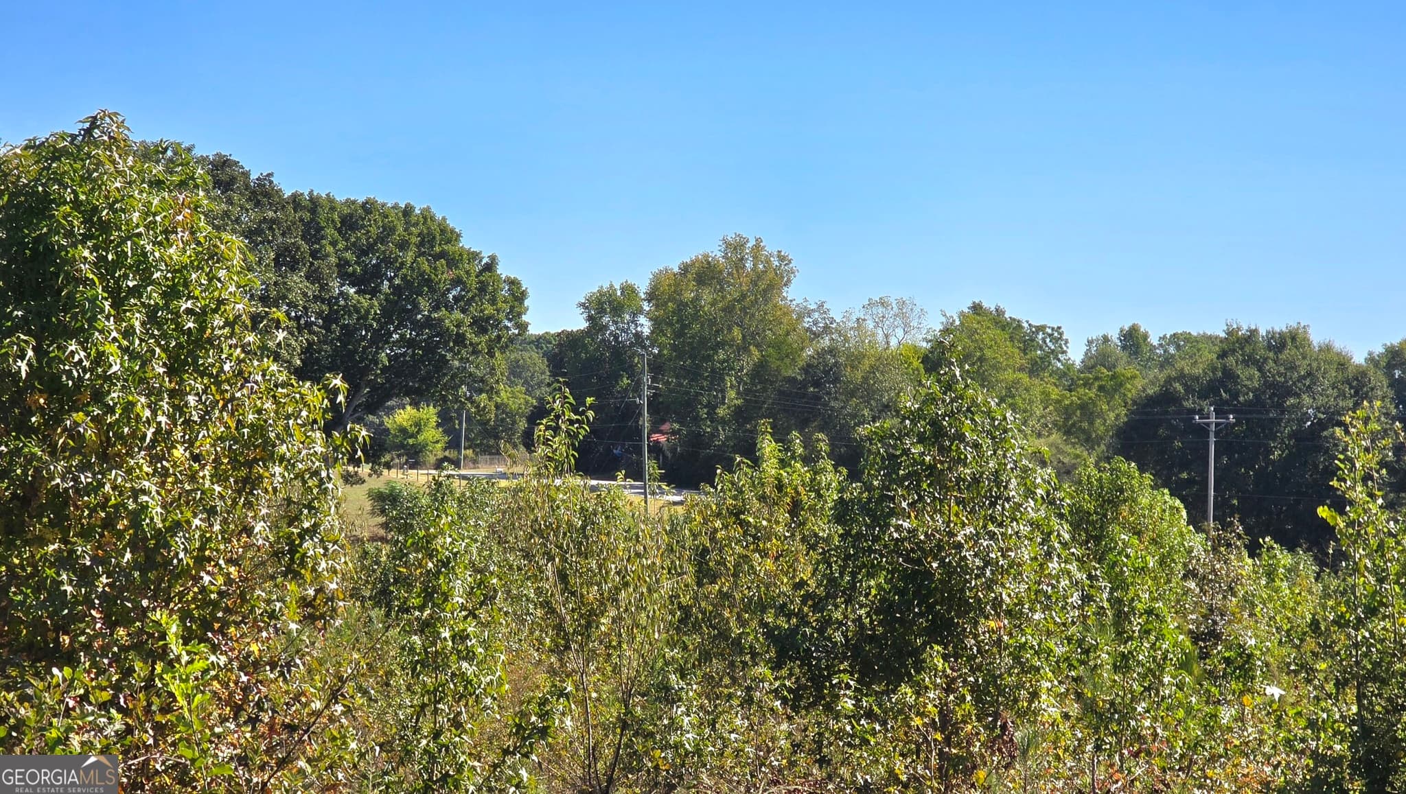 agriculture for sale at 0 Highway 172, Comer, GA 30629 — photo 9