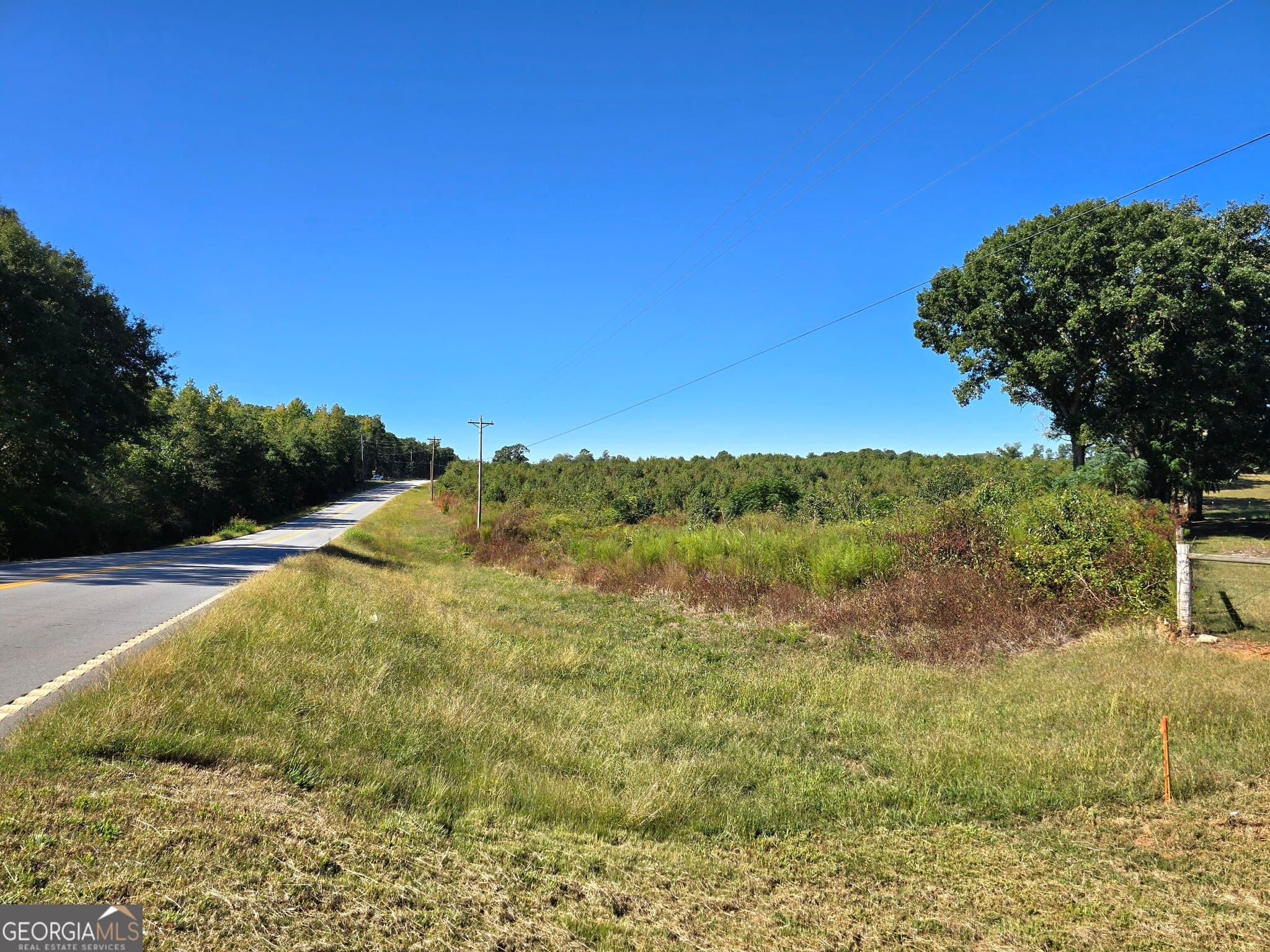 agriculture for sale at 0 Highway 172, Comer, GA 30629 — photo 4