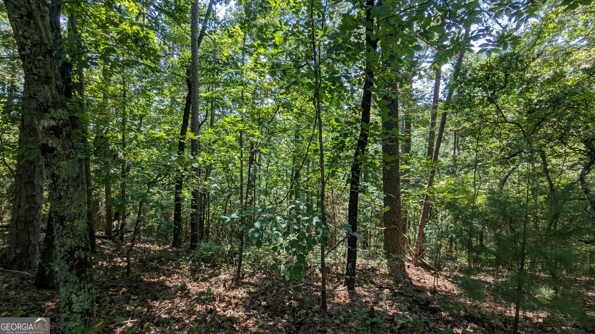 residential lot for sale at 407 Jester Court, Ranger, GA 30734 — photo 6