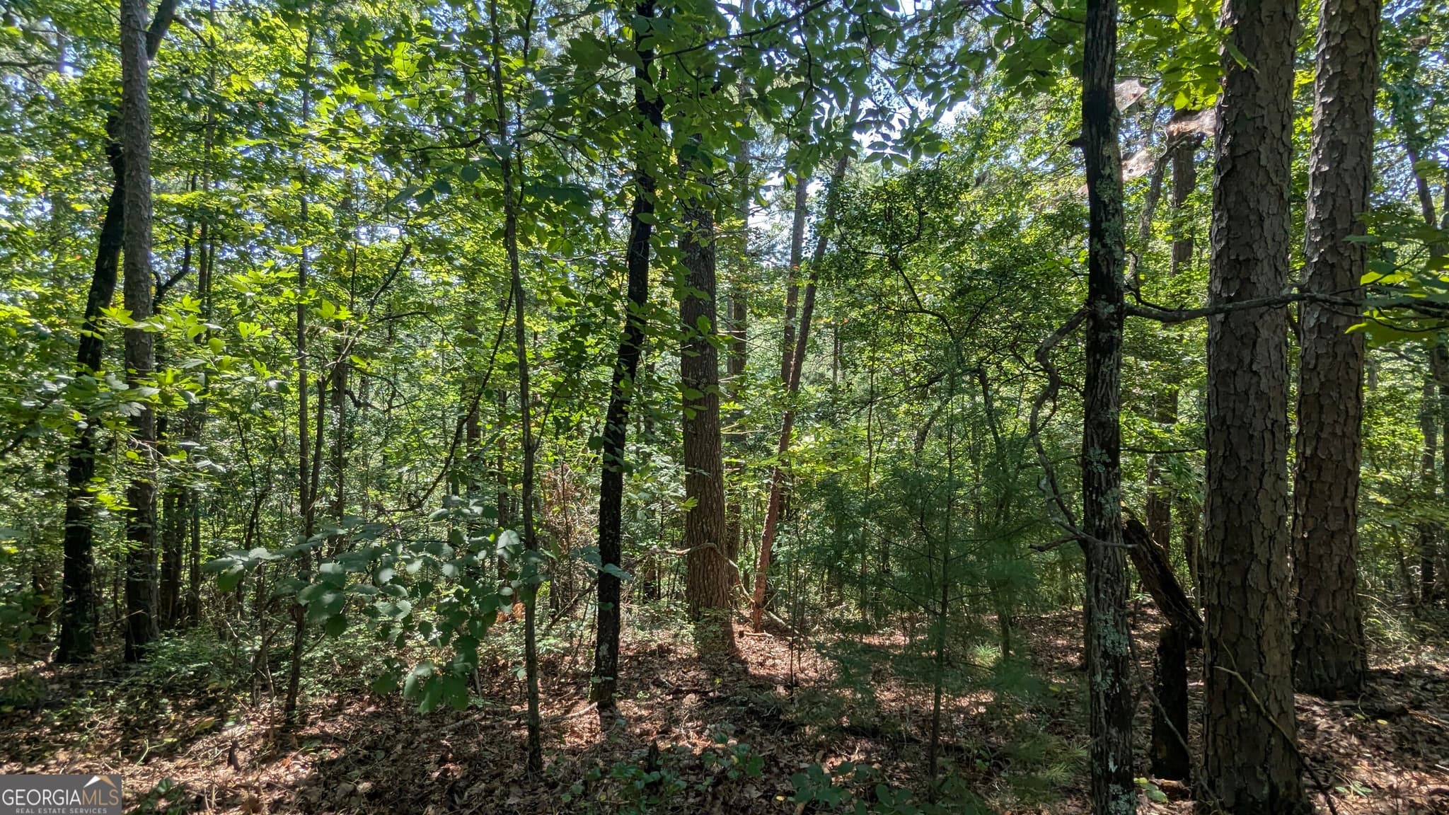 residential lot for sale at 407 Jester Court, Ranger, GA 30734 — photo 7