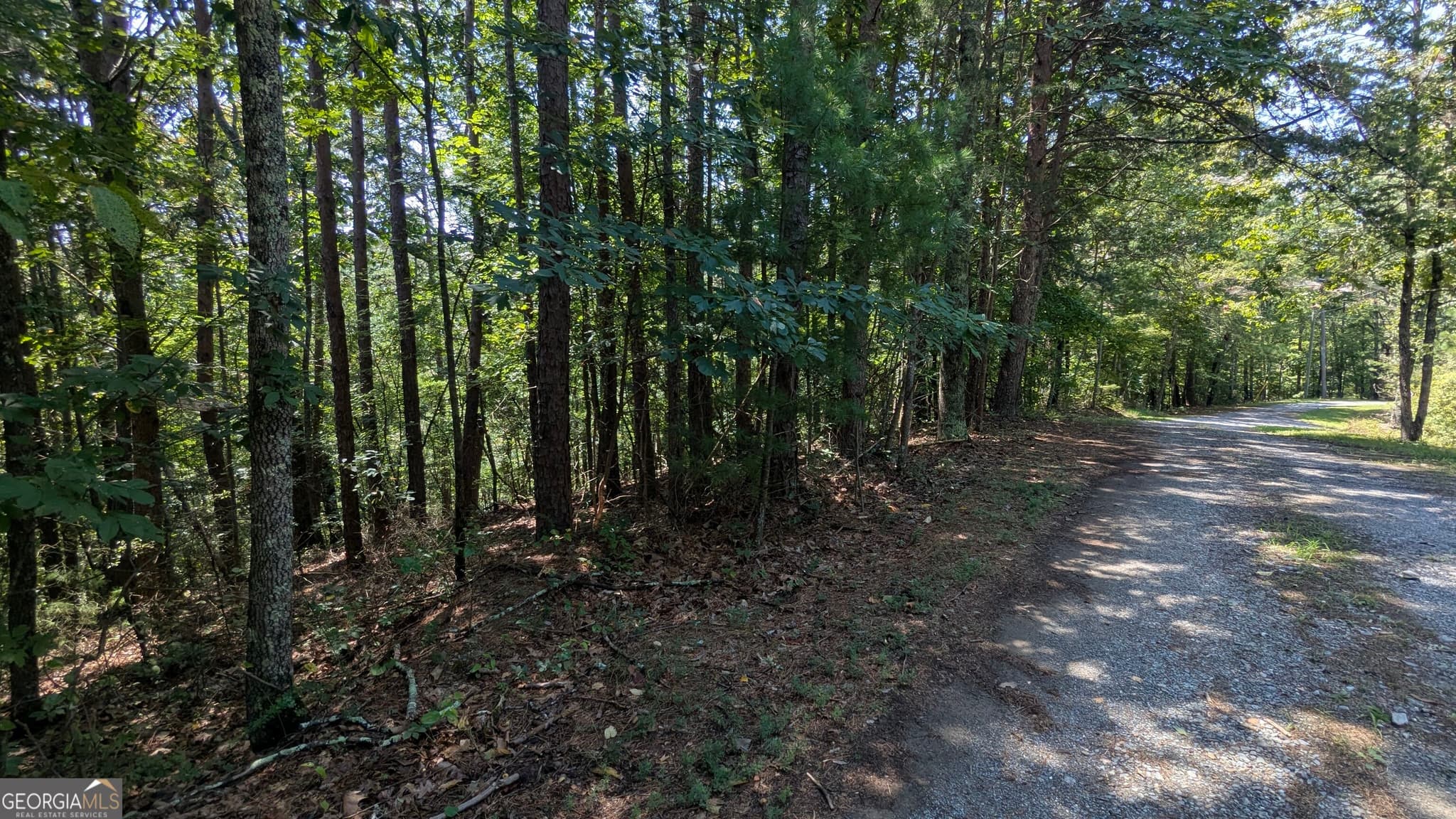 residential lot for sale at 407 Jester Court, Ranger, GA 30734 — photo 5