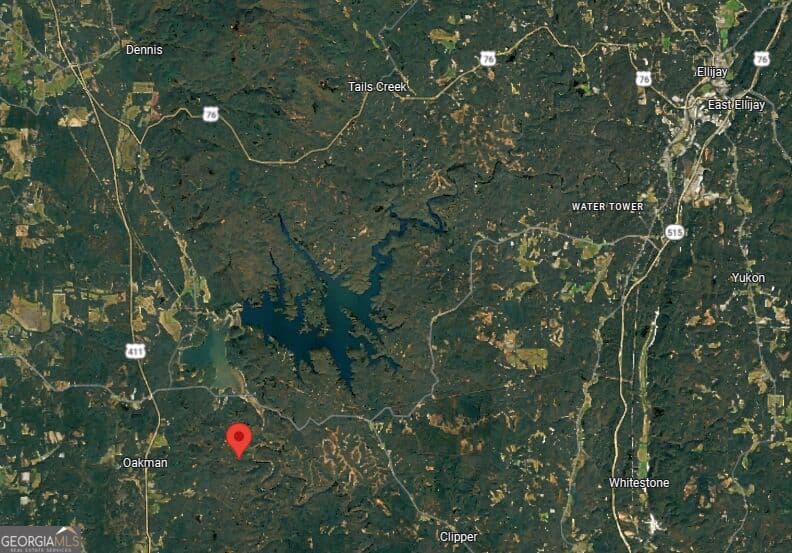 residential lot for sale at 407 Jester Court, Ranger, GA 30734 — photo 4