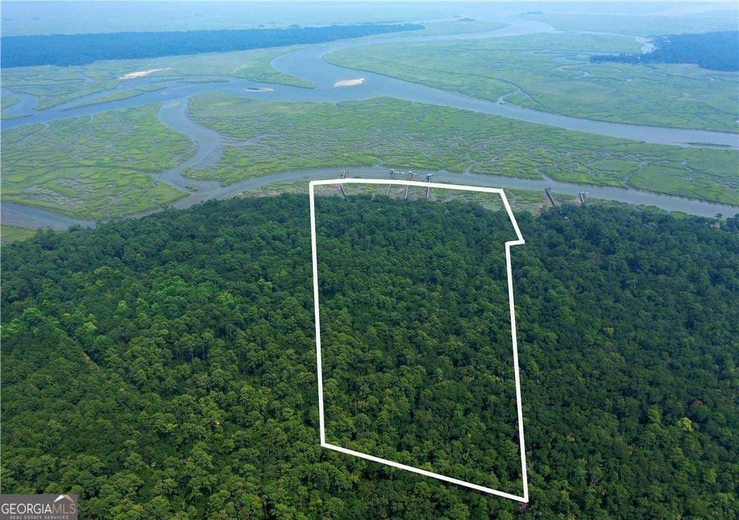 residential lot for sale at 1304 Old Smokey Road, Crescent, GA 31304 — photo 2