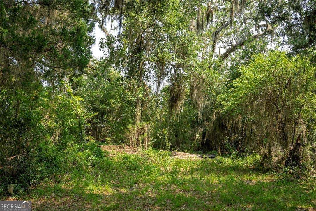 residential lot for sale at 1304 Old Smokey Road, Crescent, GA 31304 — photo 6