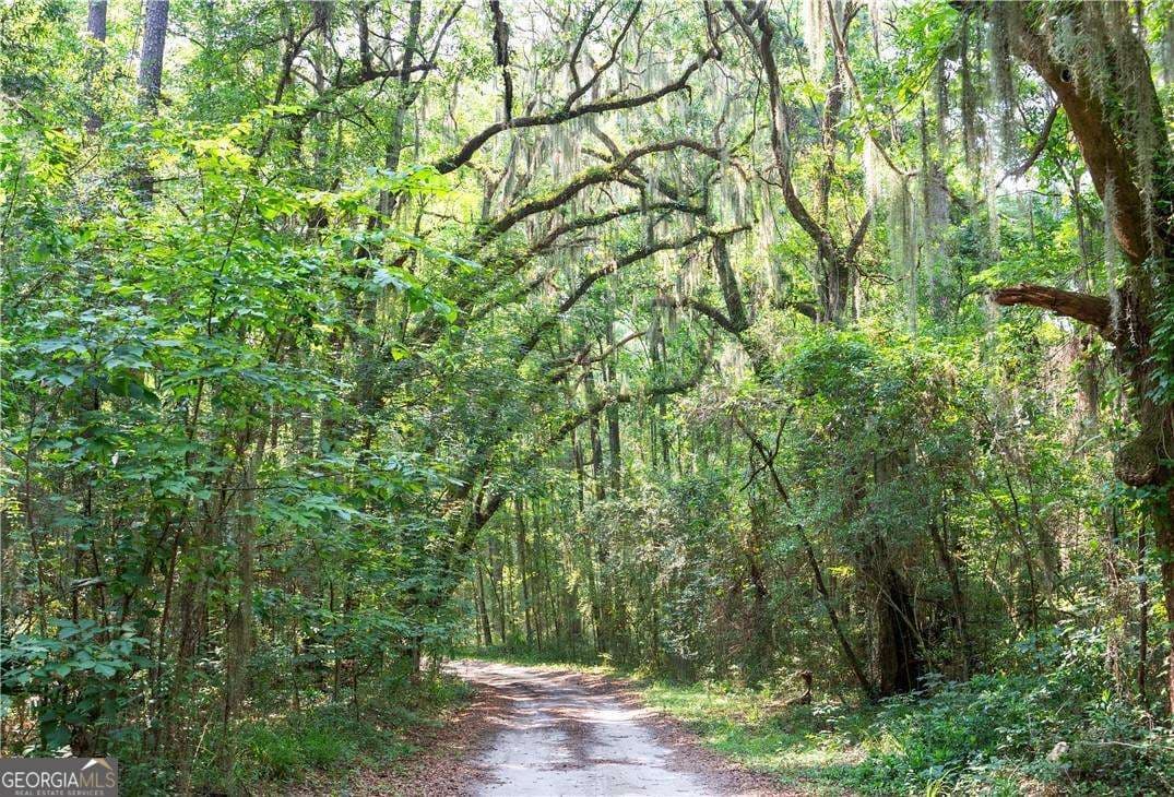 residential lot for sale at 1304 Old Smokey Road, Crescent, GA 31304 — photo 3