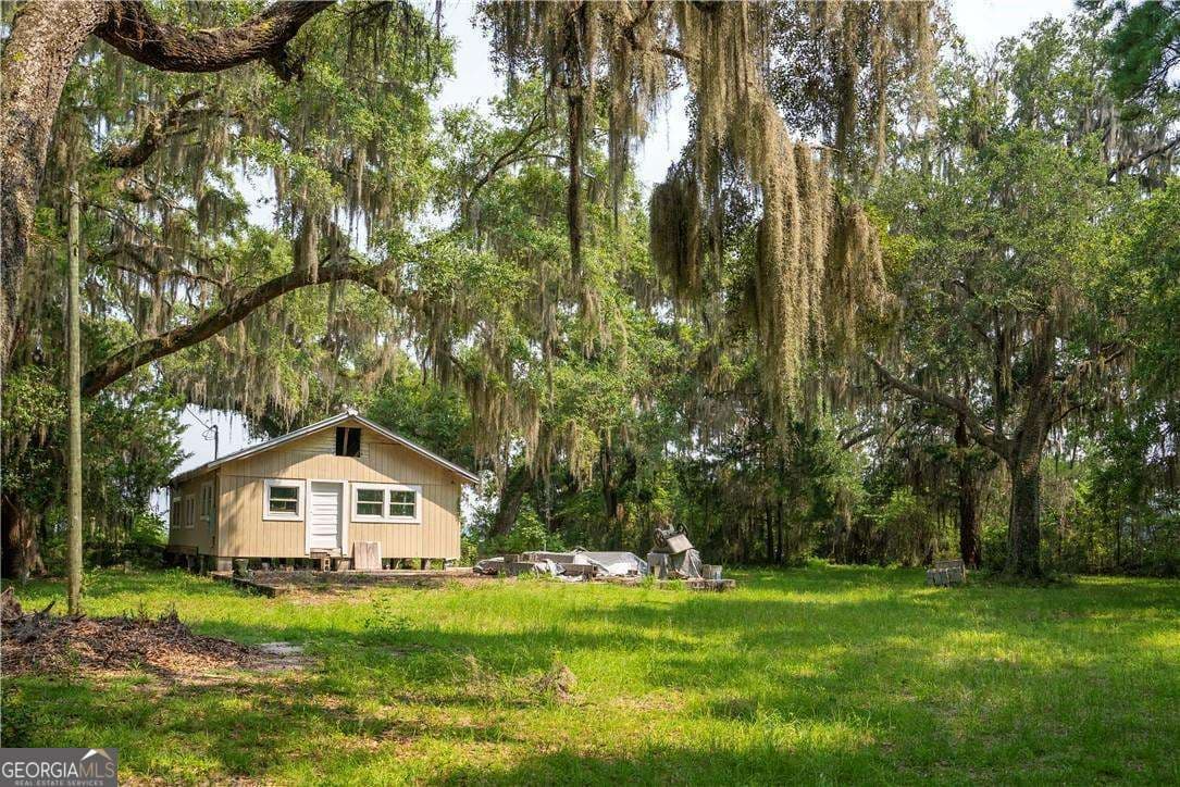 residential lot for sale at 1304 Old Smokey Road, Crescent, GA 31304 — photo 5
