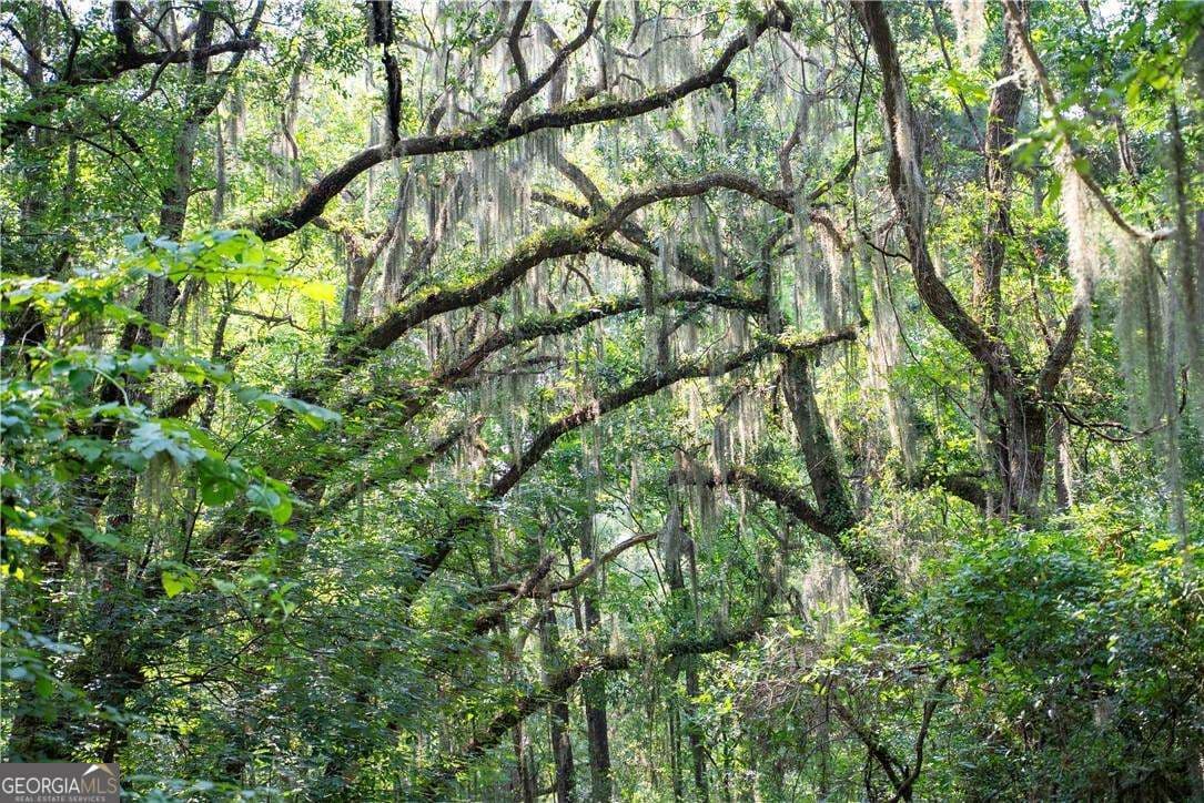 residential lot for sale at 1304 Old Smokey Road, Crescent, GA 31304 — photo 4