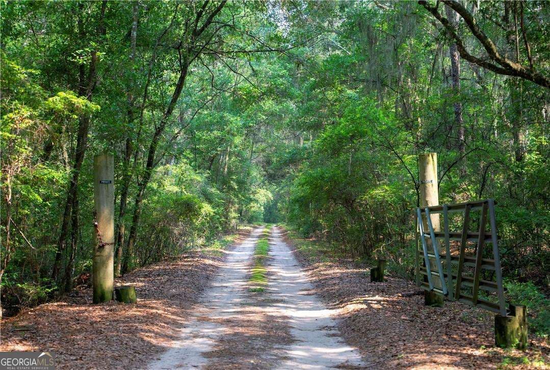 residential lot for sale at 1304 Old Smokey Road, Crescent, GA 31304 — photo 8