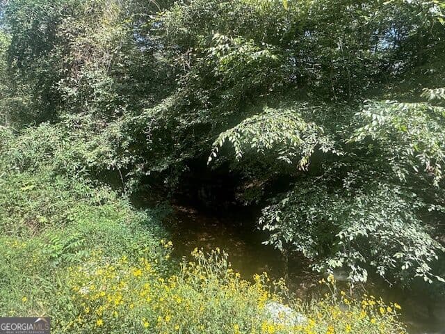 agriculture for sale at 0 Millen Road TRACT #21, Monticello, GA 31064 — photo 2