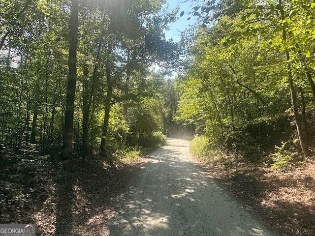 agriculture for sale at 0 Millen Road TRACT #21, Monticello, GA 31064 — photo 6