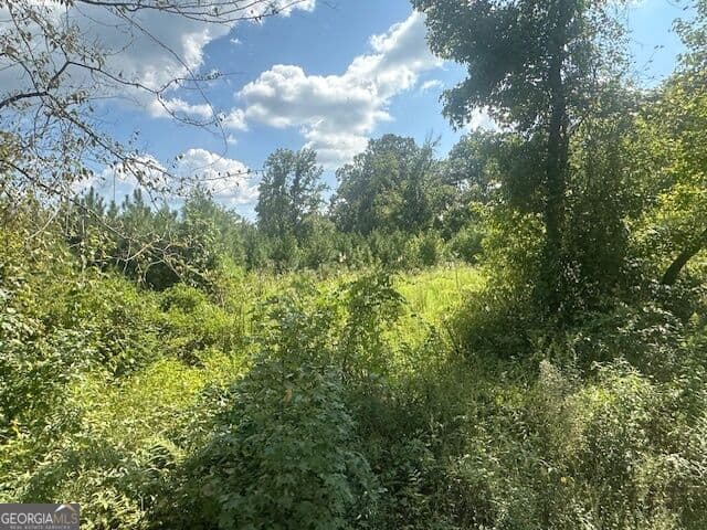 agriculture for sale at 0 Millen Road TRACT #21, Monticello, GA 31064 — photo 7