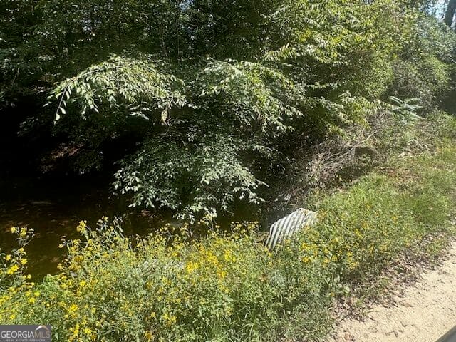 agriculture for sale at 0 Millen Road TRACT #21, Monticello, GA 31064 — photo 3