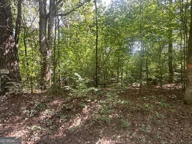 agriculture for sale at 0 Millen Road TRACT #21, Monticello, GA 31064 — photo 5
