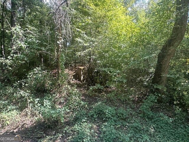 agriculture for sale at 0 Millen Road TRACT #21, Monticello, GA 31064 — photo 4