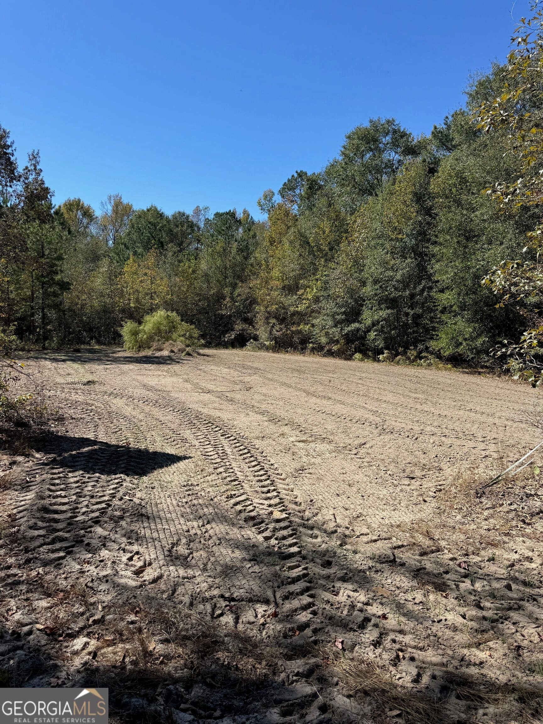 unimproved land for sale at 0 Carroll Road, Roberta, GA 31078 — photo 2