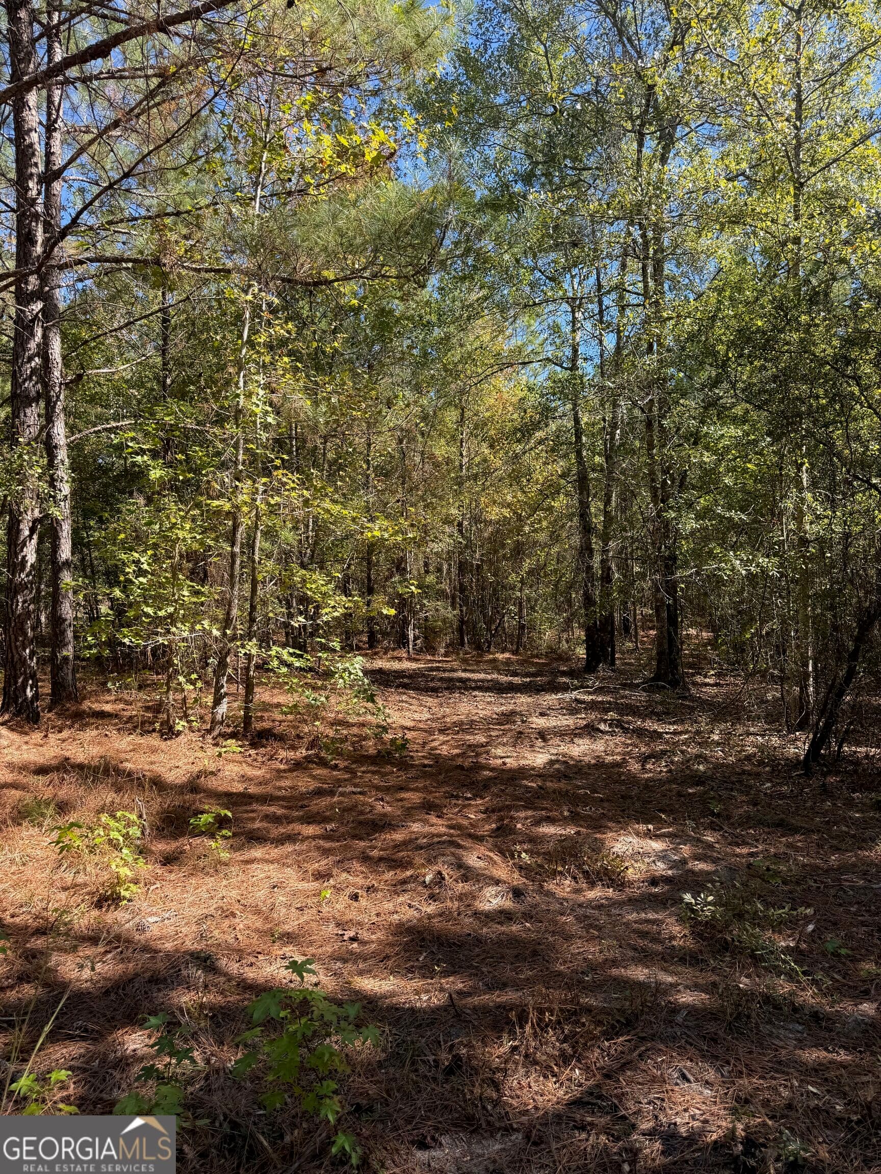 unimproved land for sale at 0 Carroll Road, Roberta, GA 31078 — photo 6