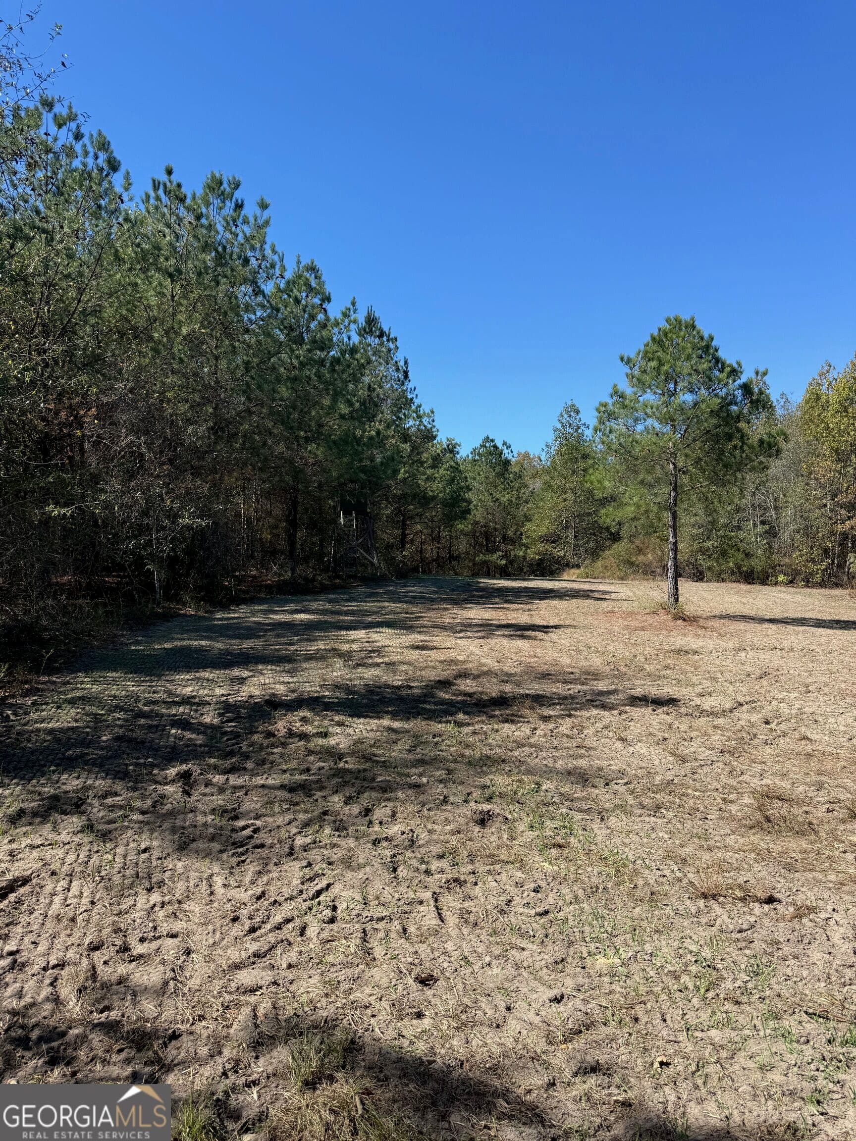 unimproved land for sale at 0 Carroll Road, Roberta, GA 31078 — photo 7