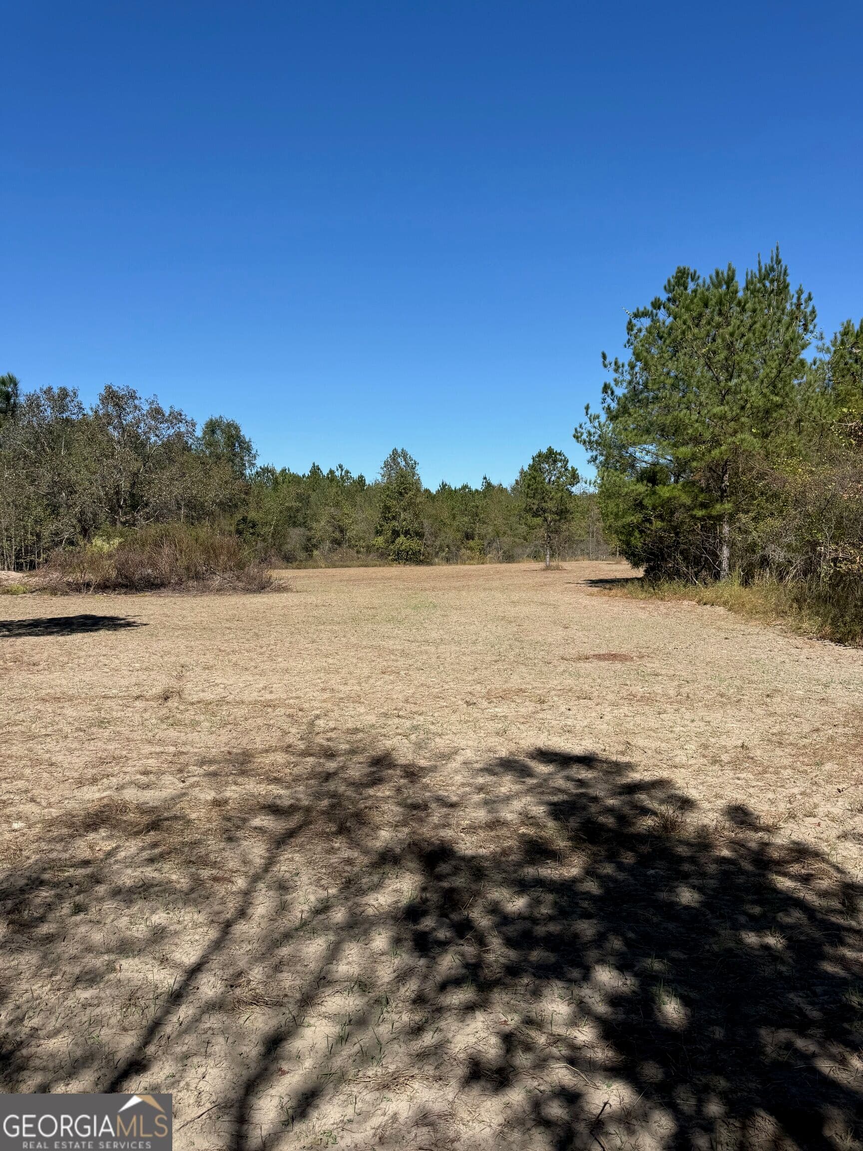 unimproved land for sale at 0 Carroll Road, Roberta, GA 31078 — photo 3