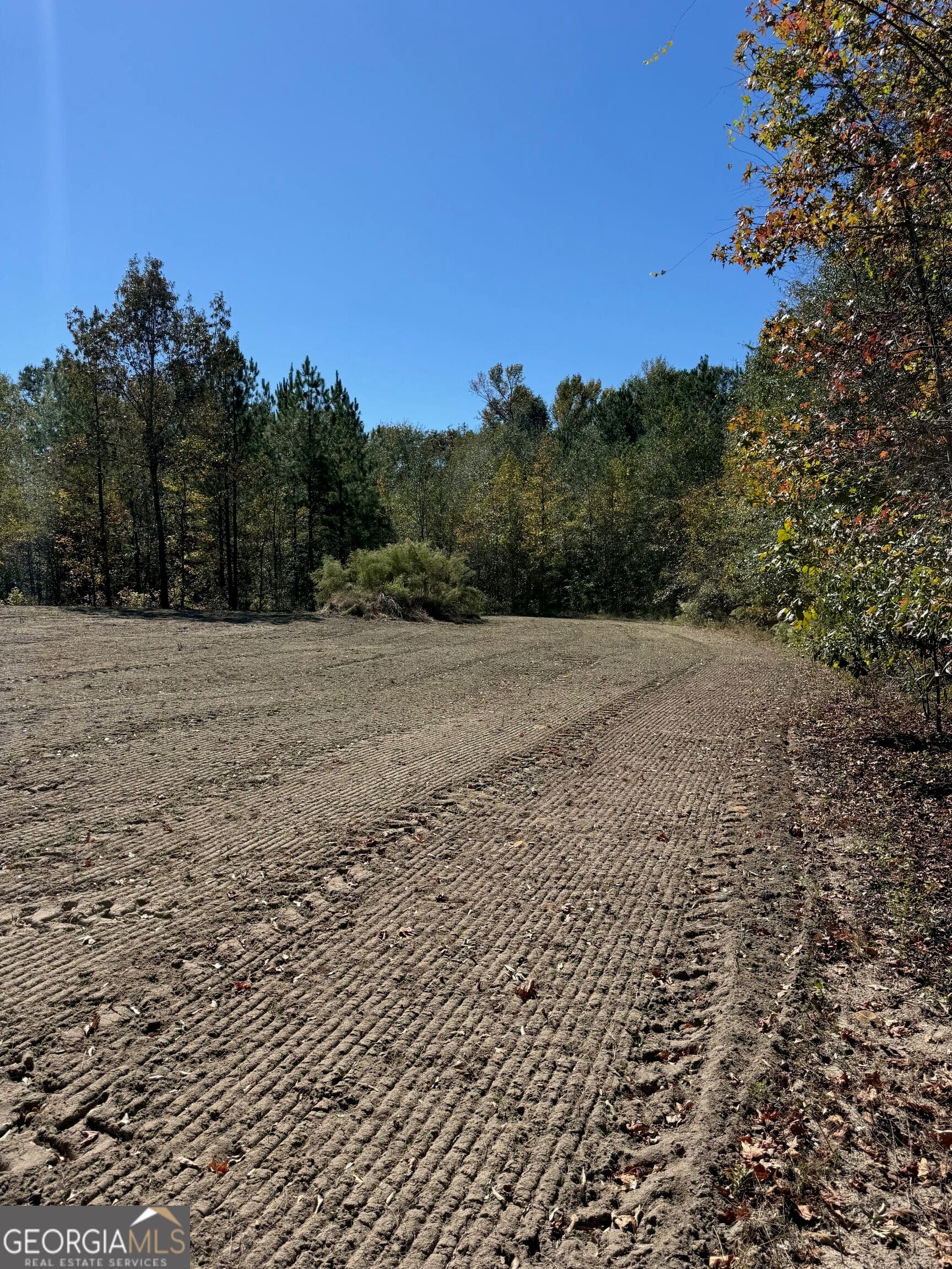 unimproved land for sale at 0 Carroll Road, Roberta, GA 31078 — photo 5