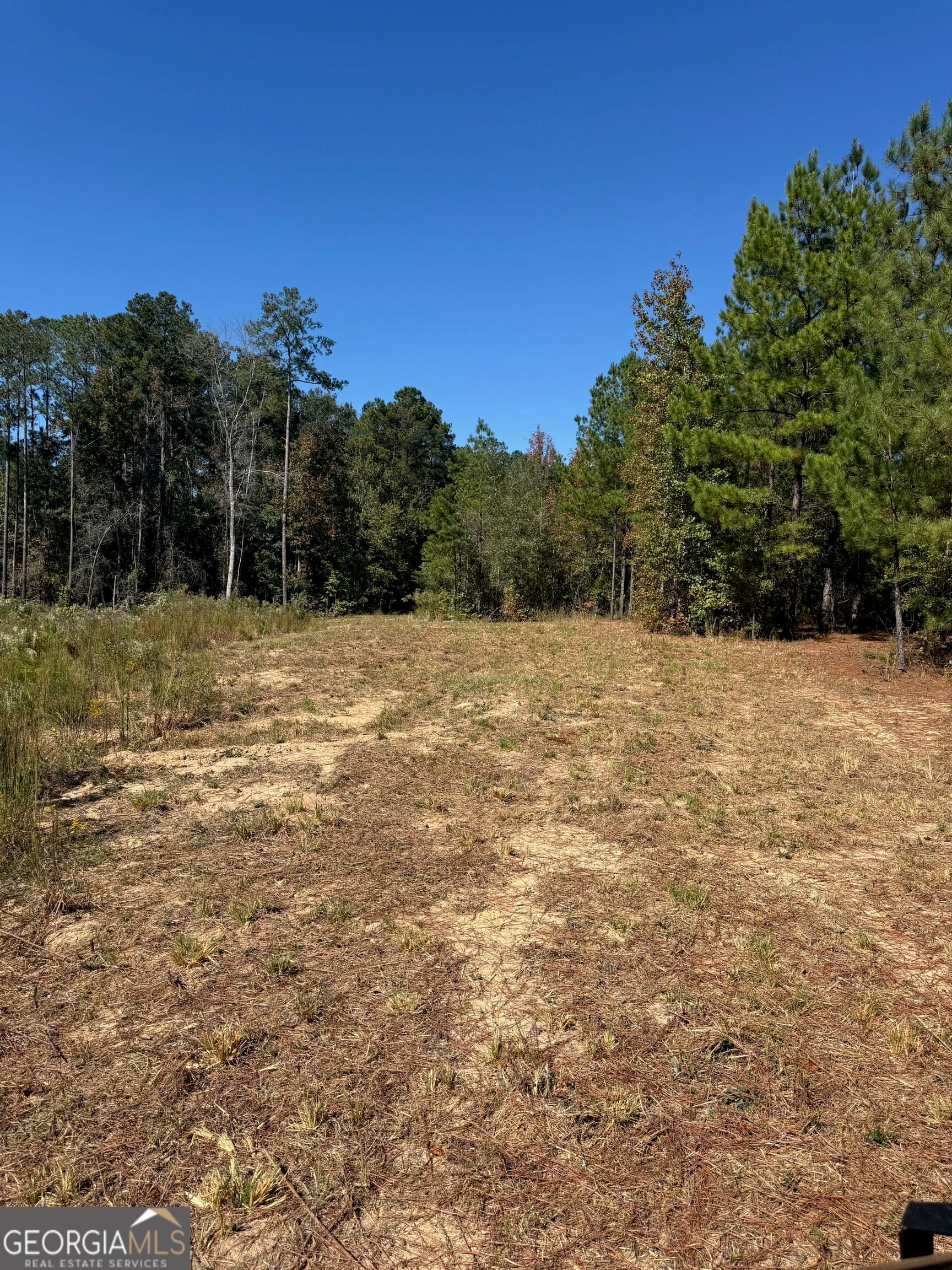 unimproved land for sale at 0 Carroll Road, Roberta, GA 31078 — photo 9