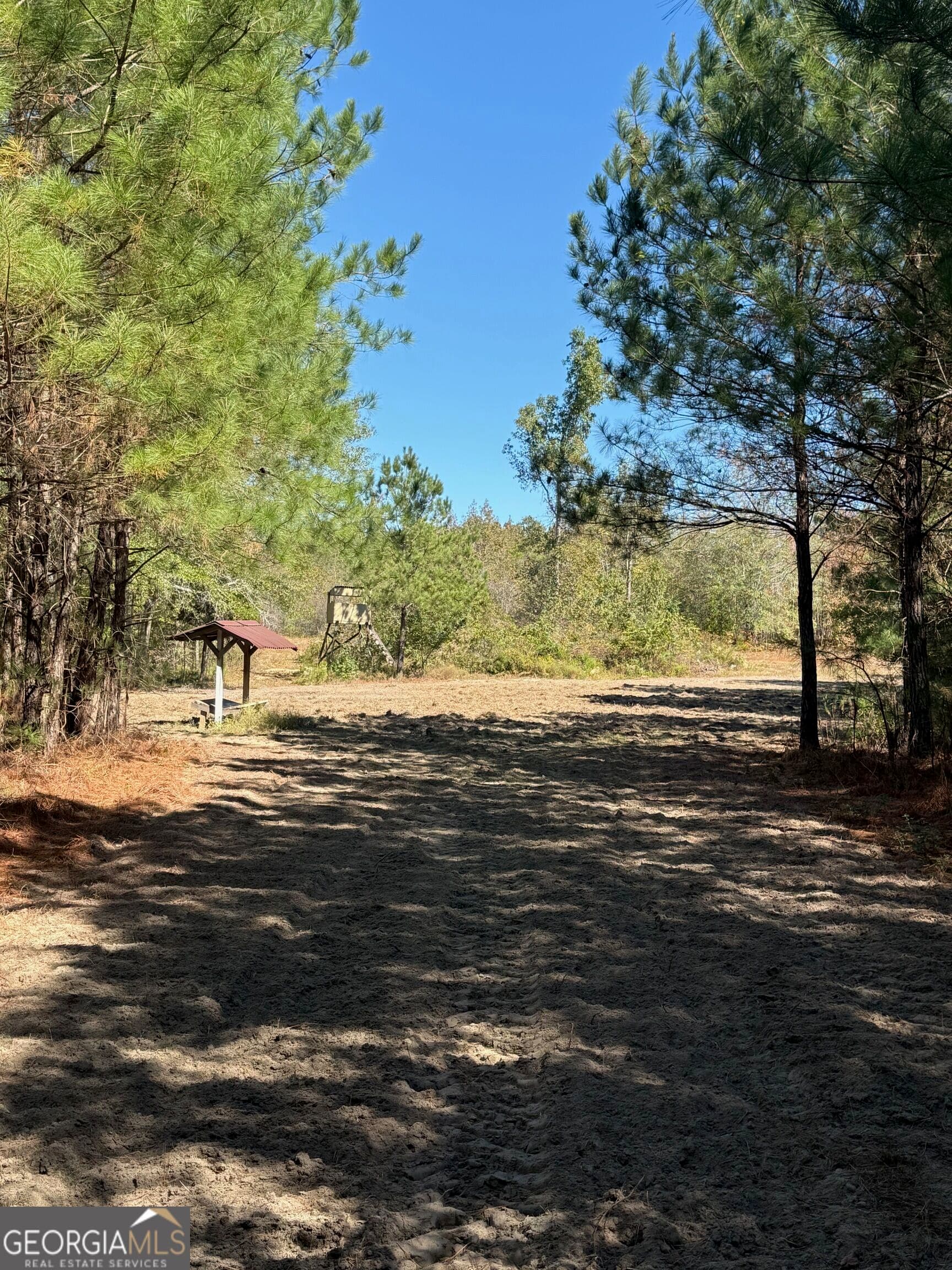 unimproved land for sale at 0 Carroll Road, Roberta, GA 31078 — photo 10