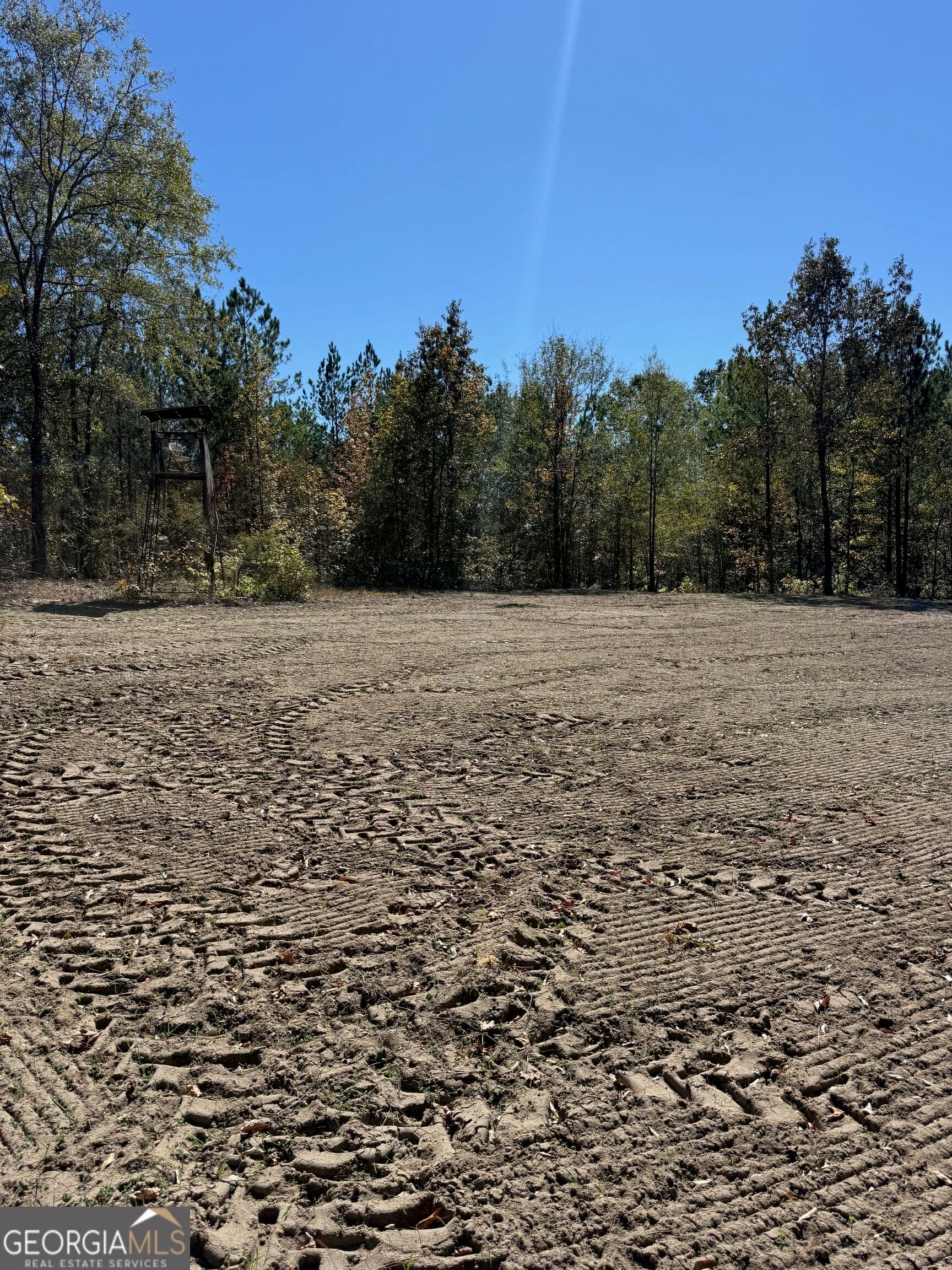 unimproved land for sale at 0 Carroll Road, Roberta, GA 31078 — photo 4
