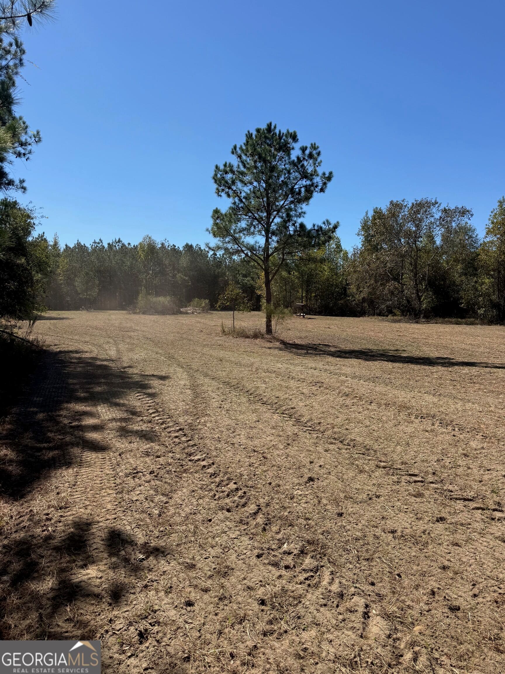 unimproved land for sale at 0 Carroll Road, Roberta, GA 31078 — photo 8