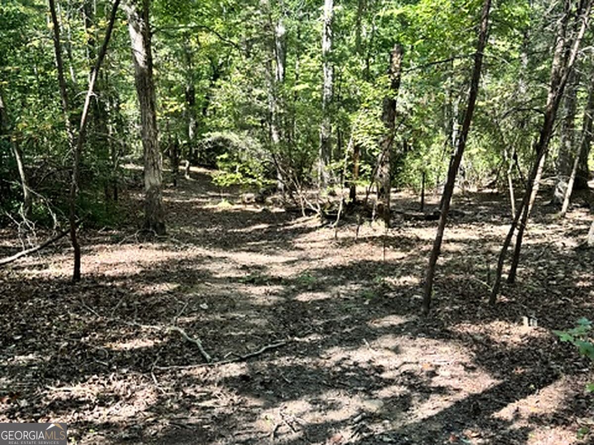 residential lot for sale at 0 Whippoorwill Way, Alto, GA 30510 — photo 6