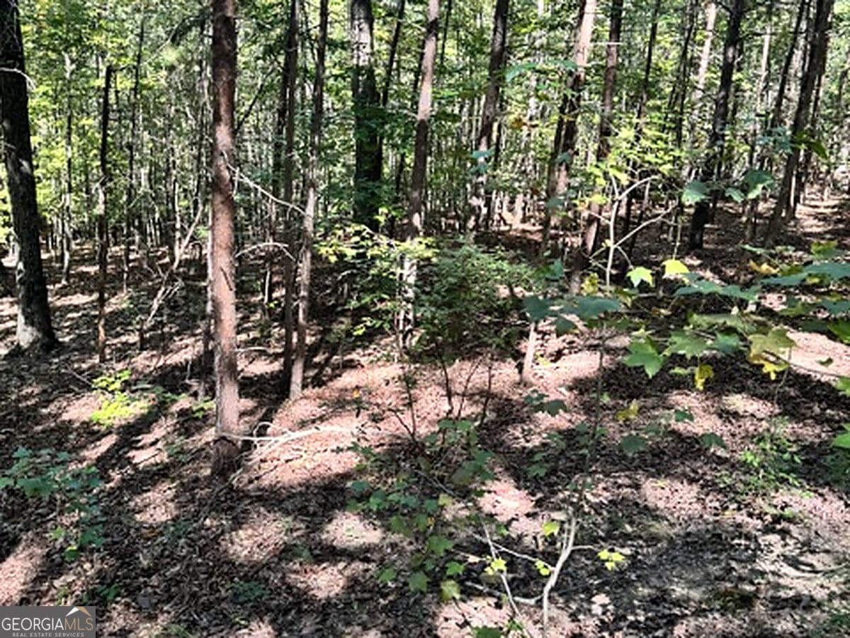 residential lot for sale at 0 Whippoorwill Way, Alto, GA 30510 — photo 7