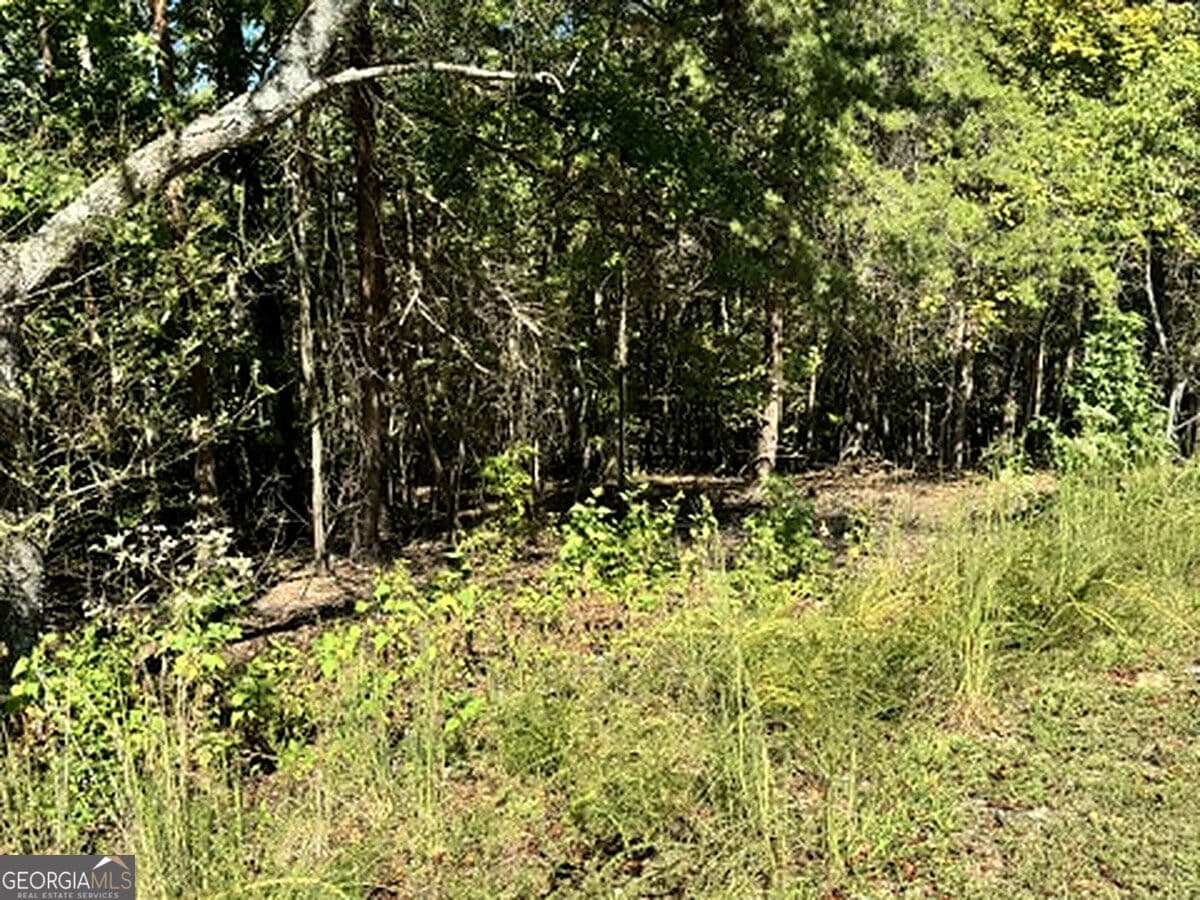 residential lot for sale at 0 Whippoorwill Way, Alto, GA 30510 — photo 4