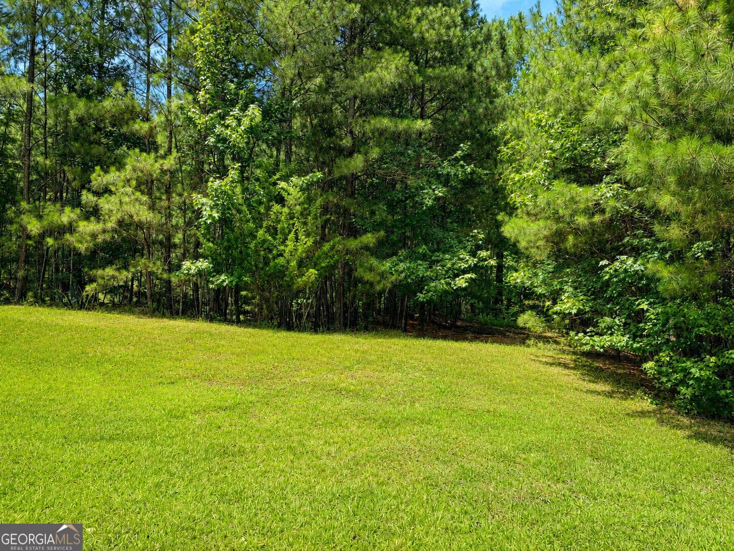 residential lot for sale at 30 Cornish Trace Drive, Covington, GA 30014 — photo 3