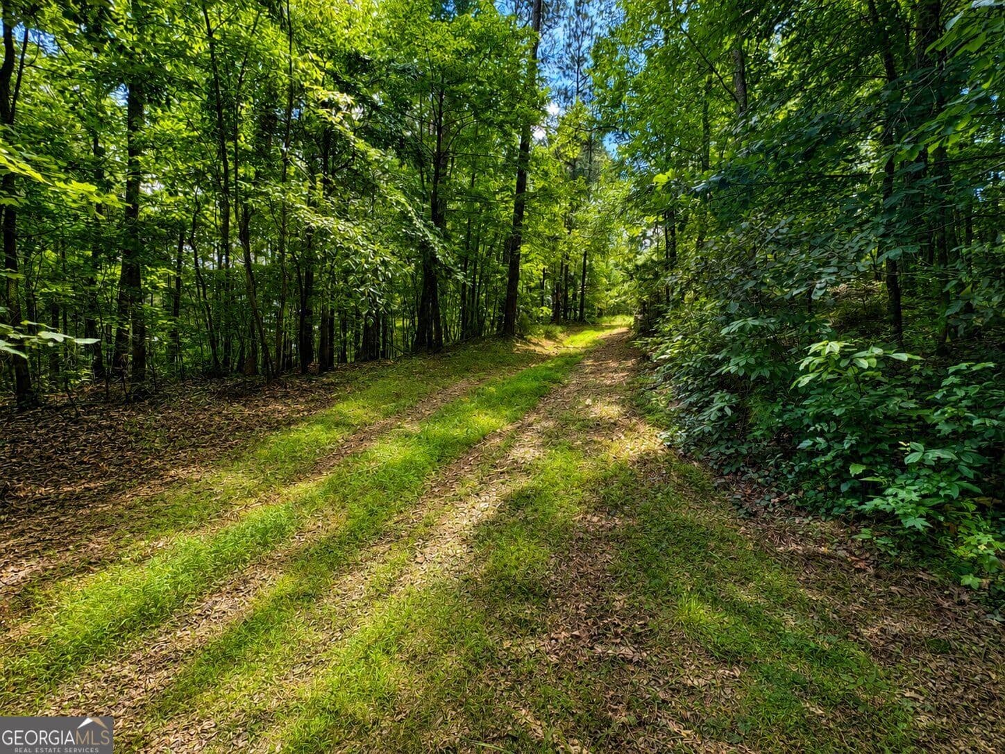 residential lot for sale at 30 Cornish Trace Drive, Covington, GA 30014 — photo 5
