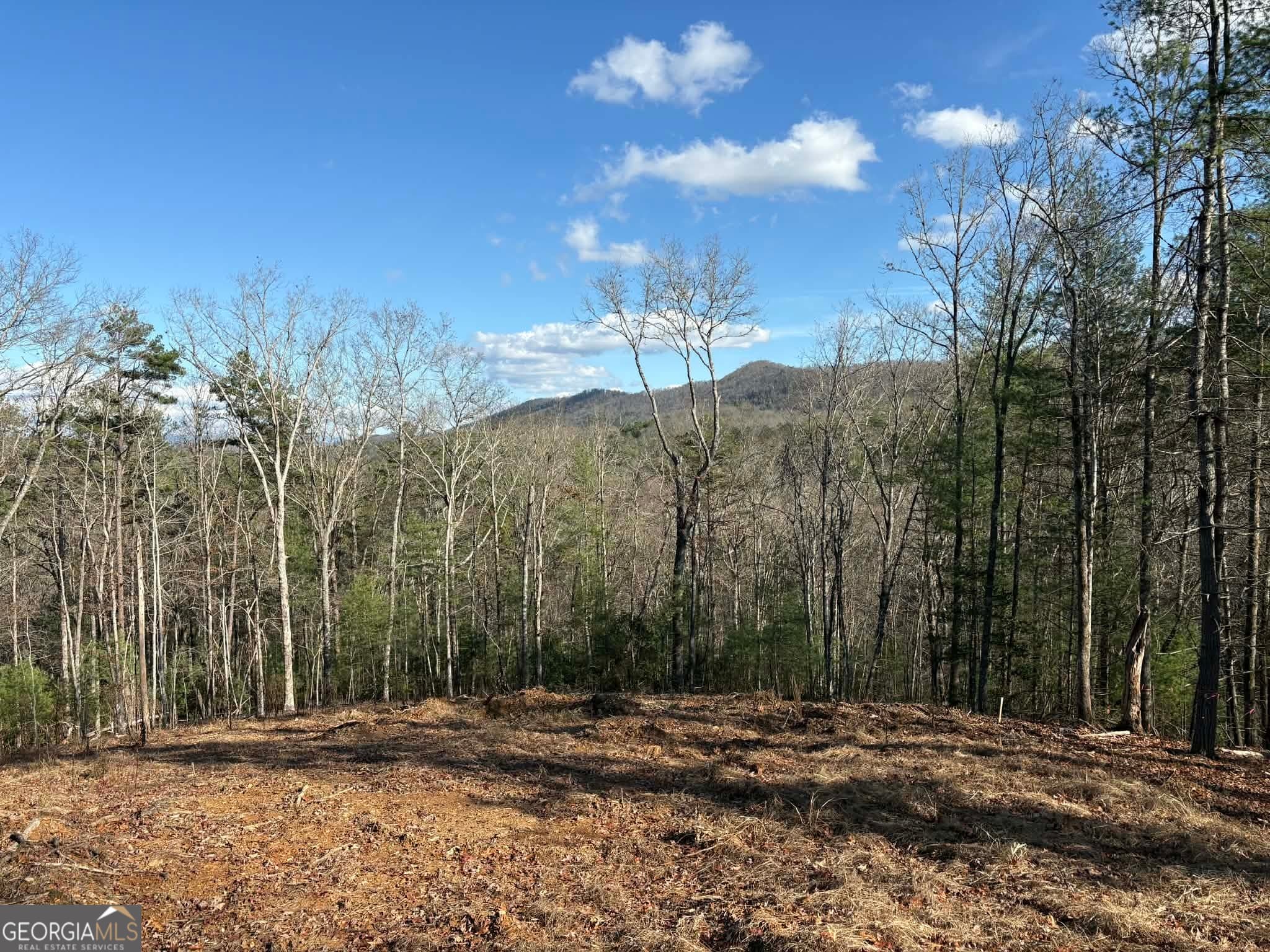 residential lot for sale at LOT 86 Lookout Ridge, Mineral Bluff, GA 30559 — photo 2