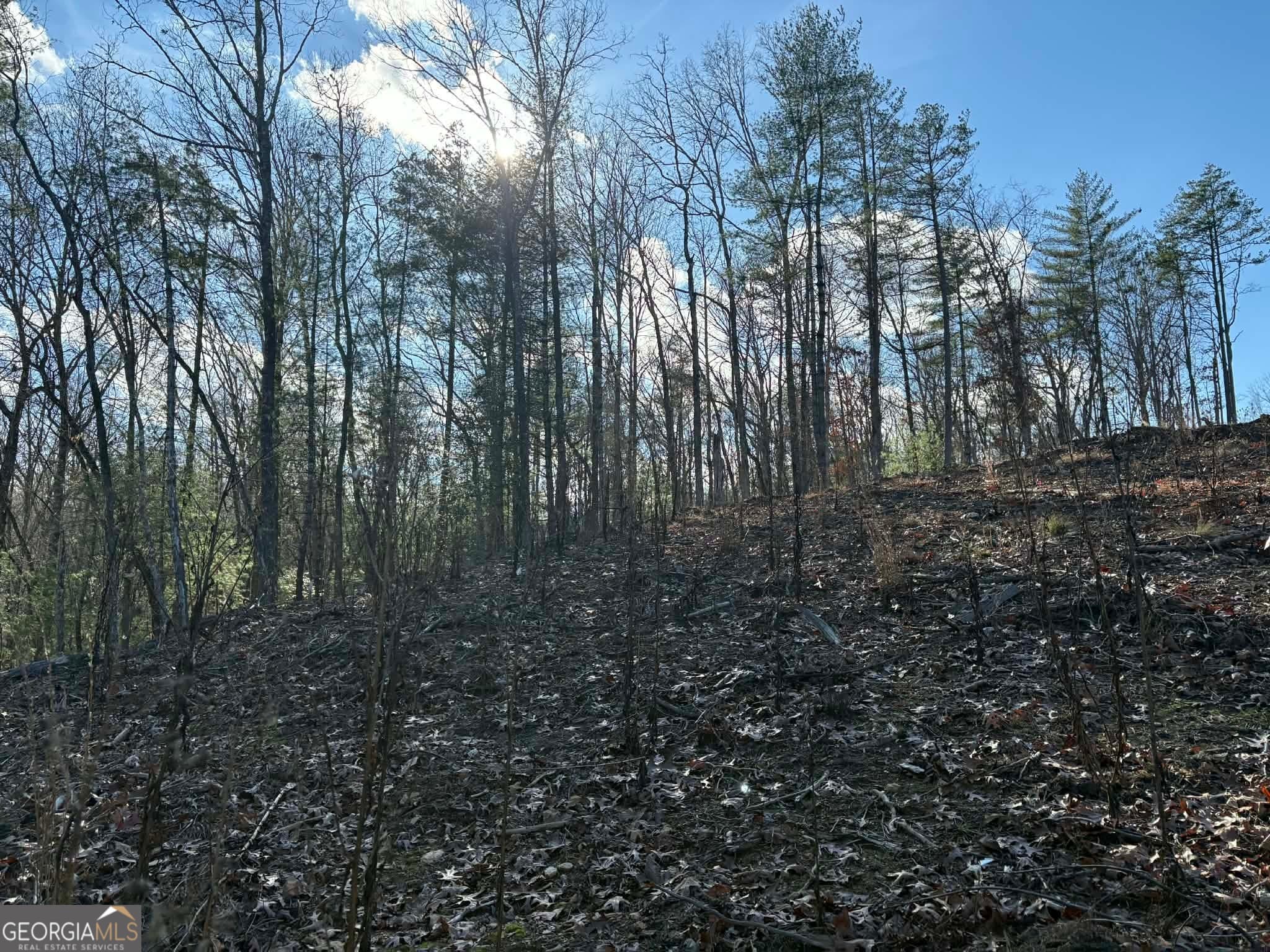 residential lot for sale at LOT 86 Lookout Ridge, Mineral Bluff, GA 30559 — photo 6
