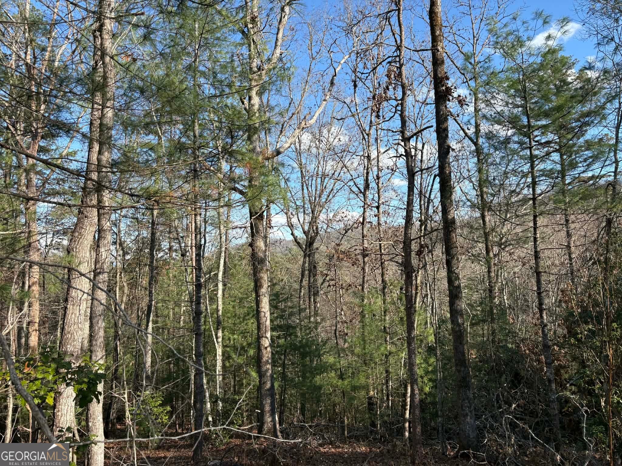 residential lot for sale at LOT 86 Lookout Ridge, Mineral Bluff, GA 30559 — photo 7
