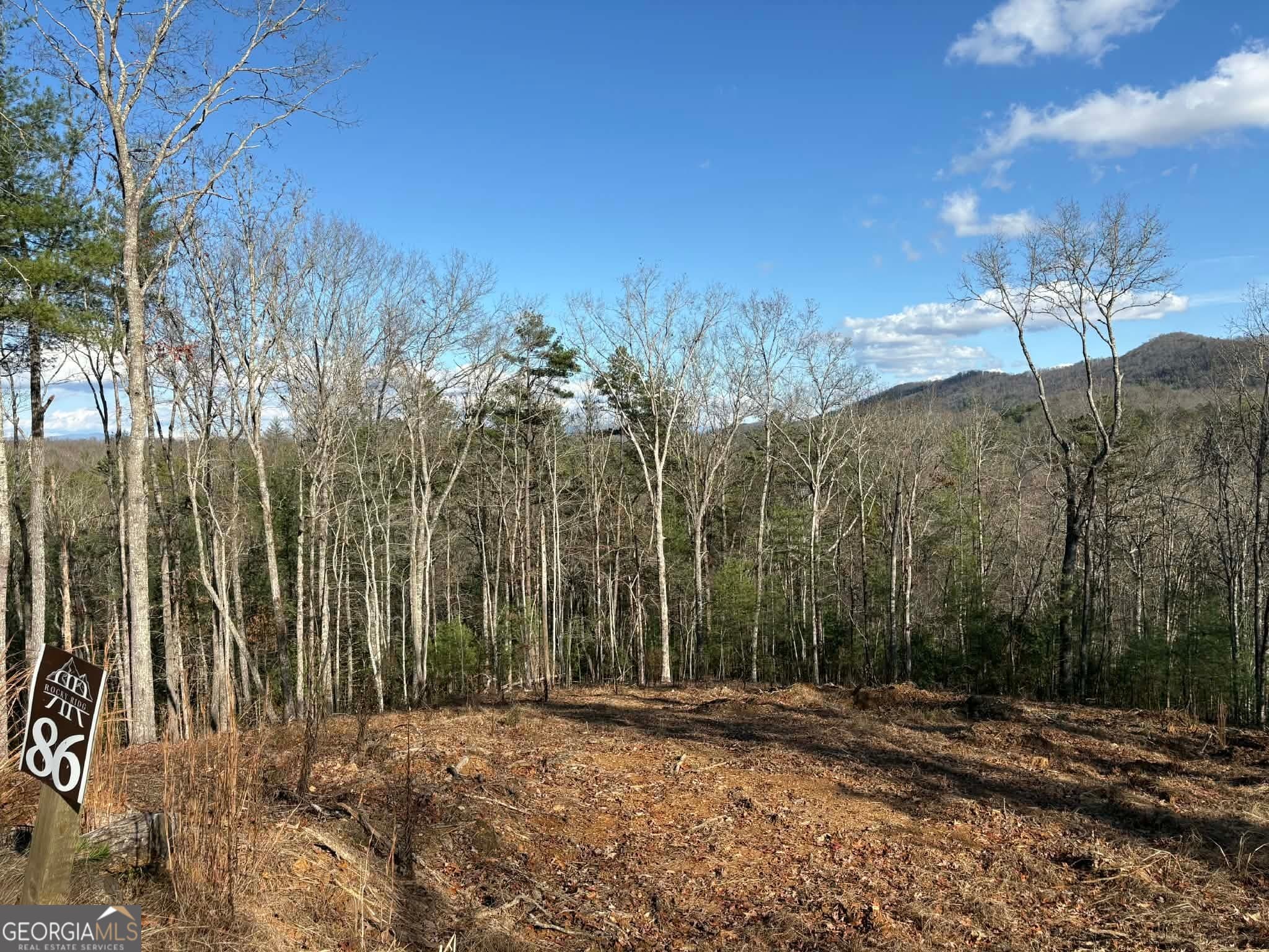 residential lot for sale at LOT 86 Lookout Ridge, Mineral Bluff, GA 30559 — photo 3